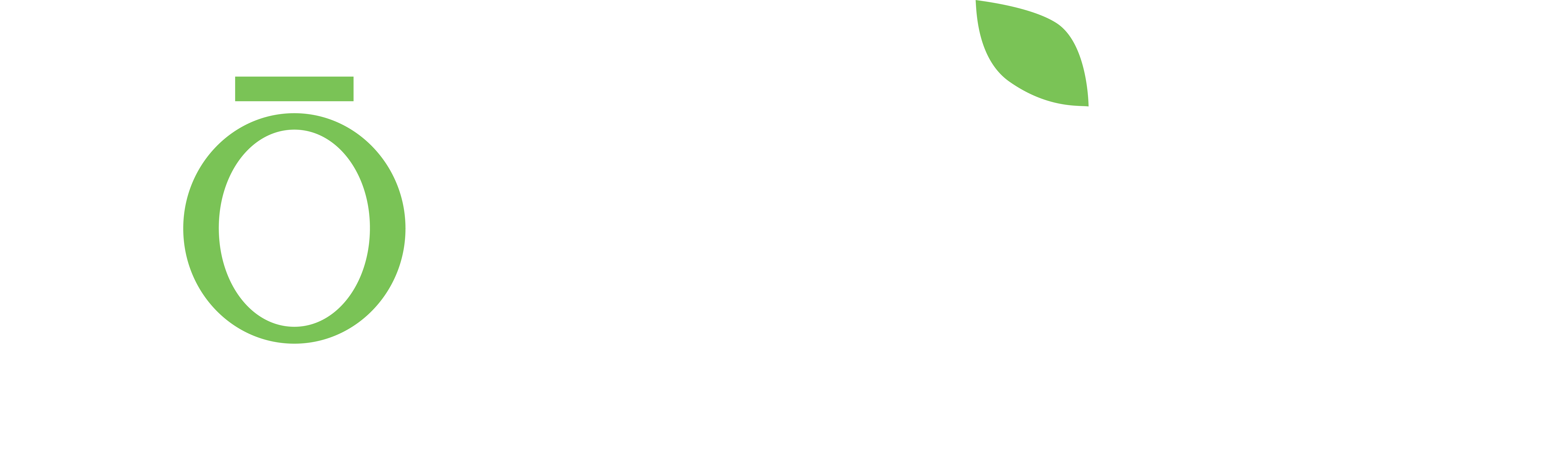 Fōmcore Logo 2022 White Green