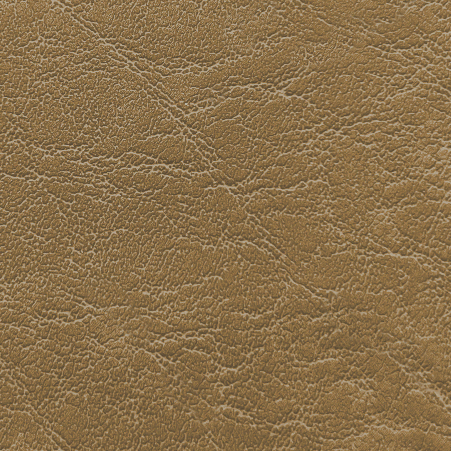 Carrara CR 505 Parchment