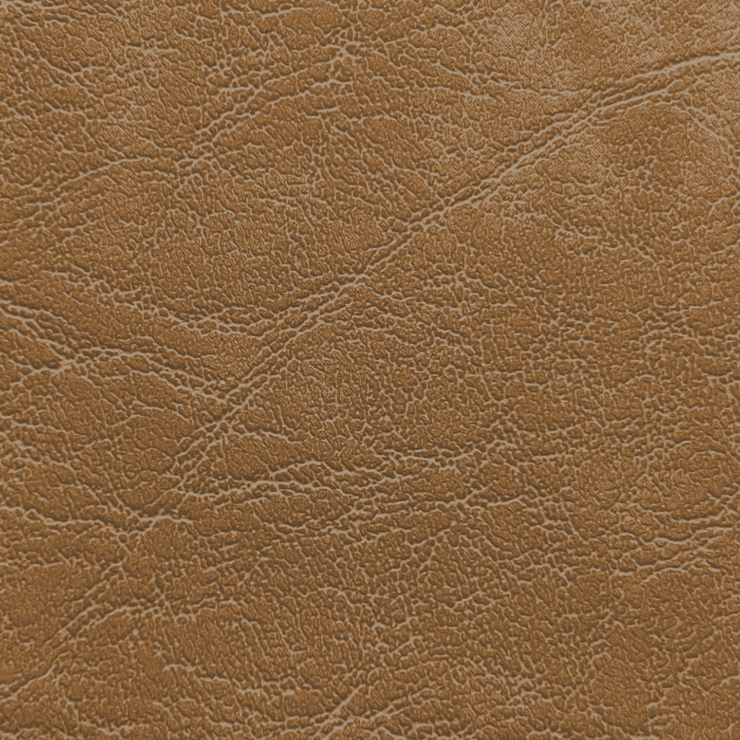 Carrara CR 506 Camel