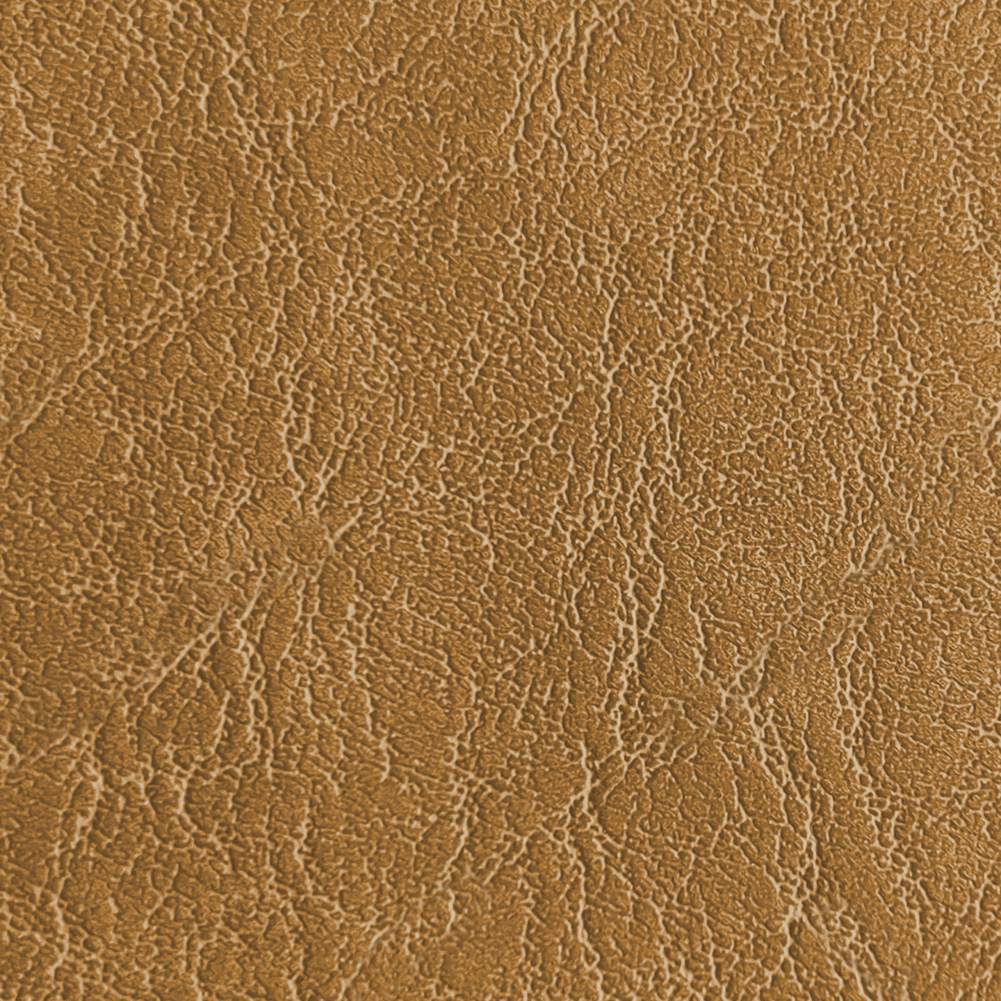 Carrara CR 518 Wheat