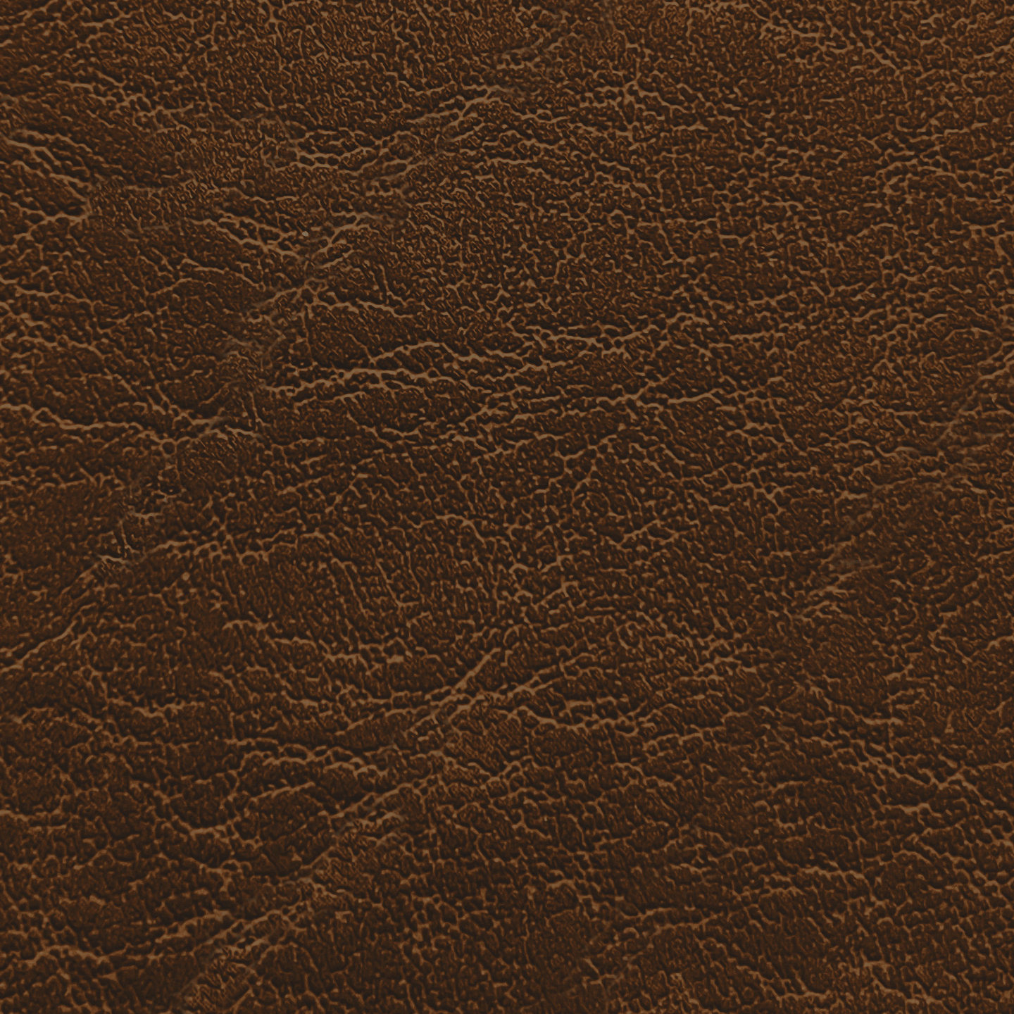 Carrara CR 519 Saddle