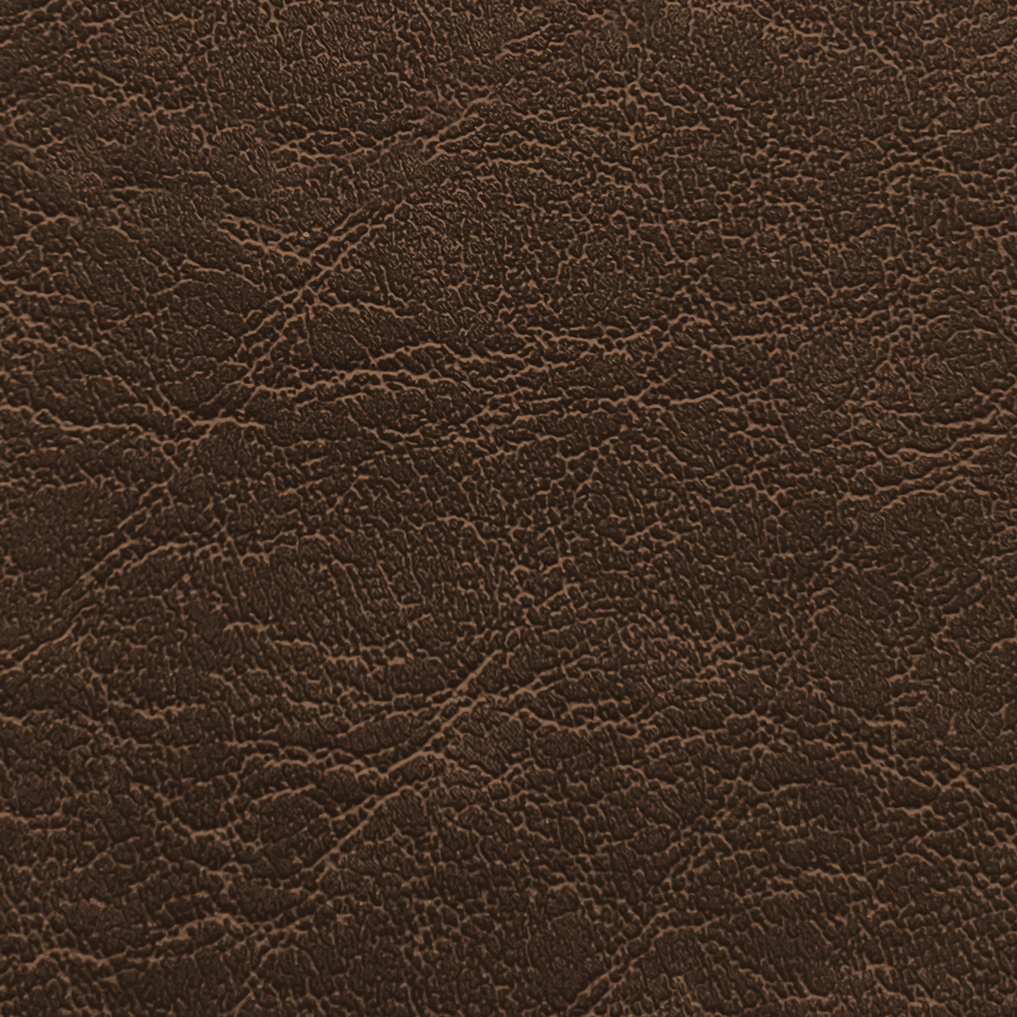 Carrara CR 520 Coffee