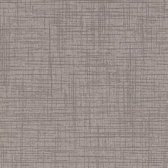 Criss Cross 2 0 Titanium