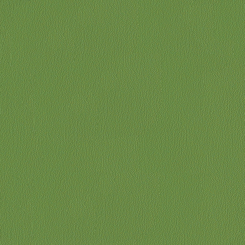 Everywhere EPU 495 74 ginkgo