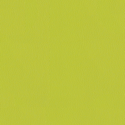 Everywhere EPU 495 76 lime