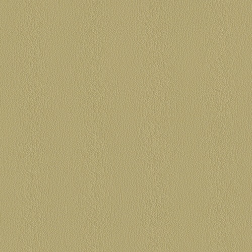 Everywhere EPU 495 79 khaki