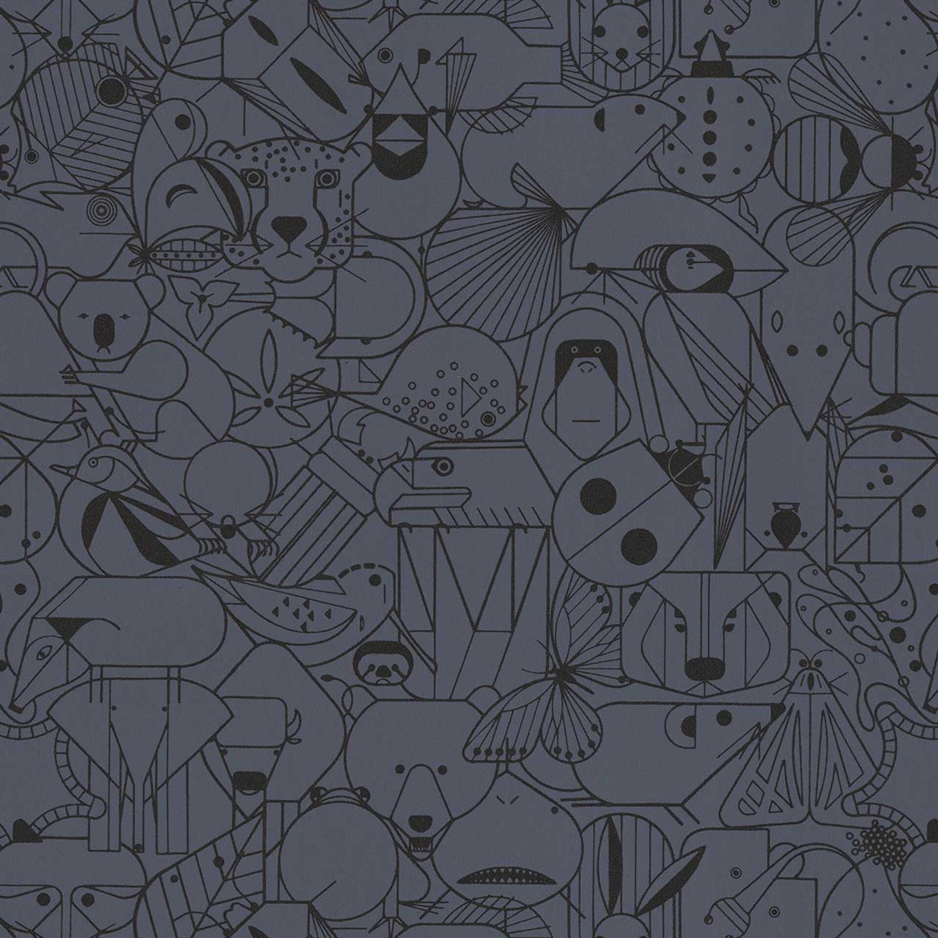 Fin Whale 3043410 50281