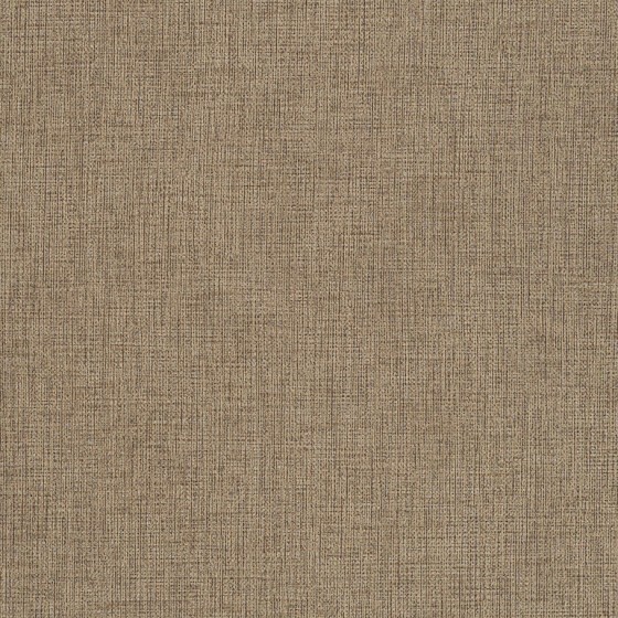 Linnen Seedling 3921103