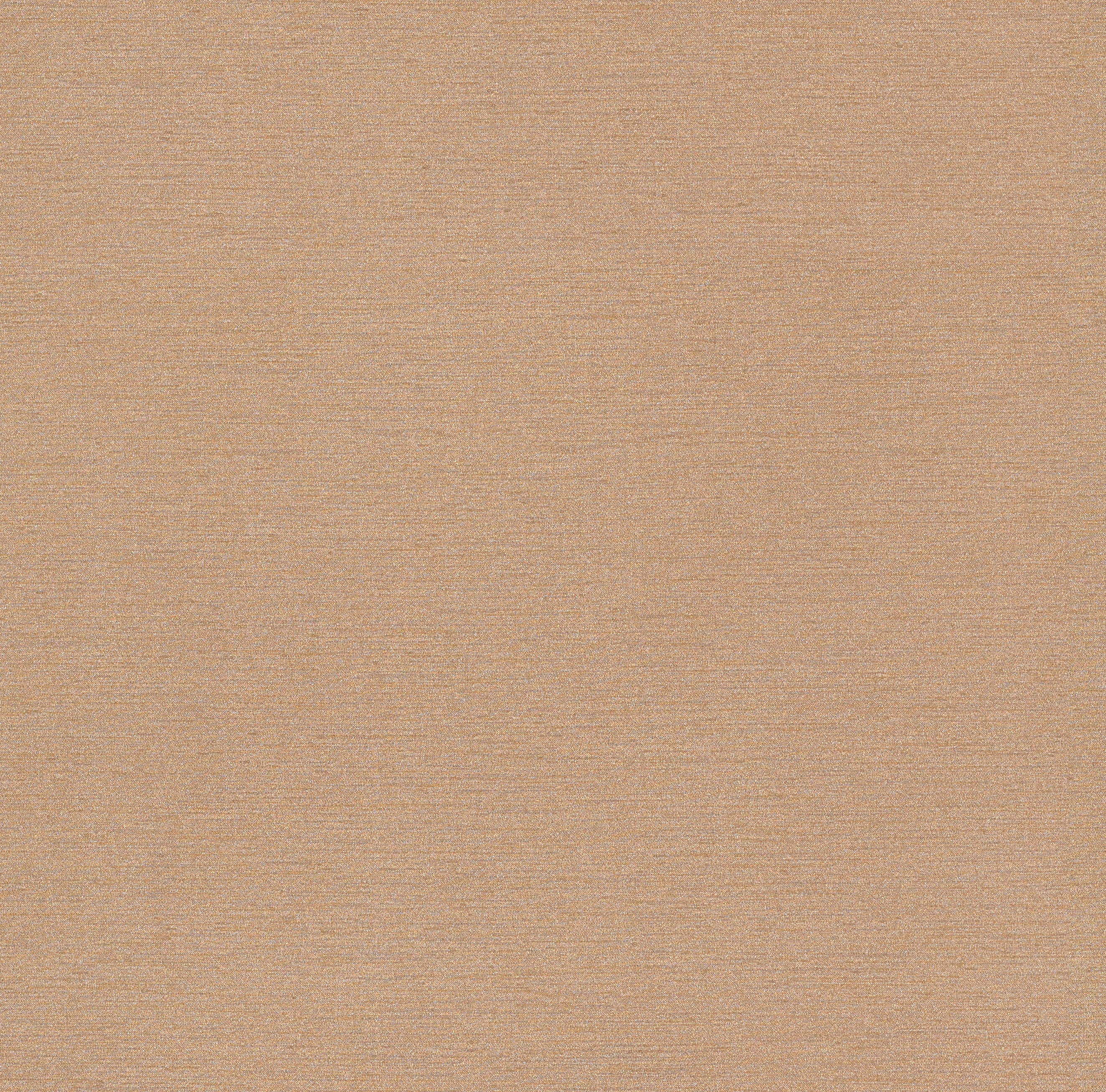 Nishiki 2 0 NIH277 Ramen