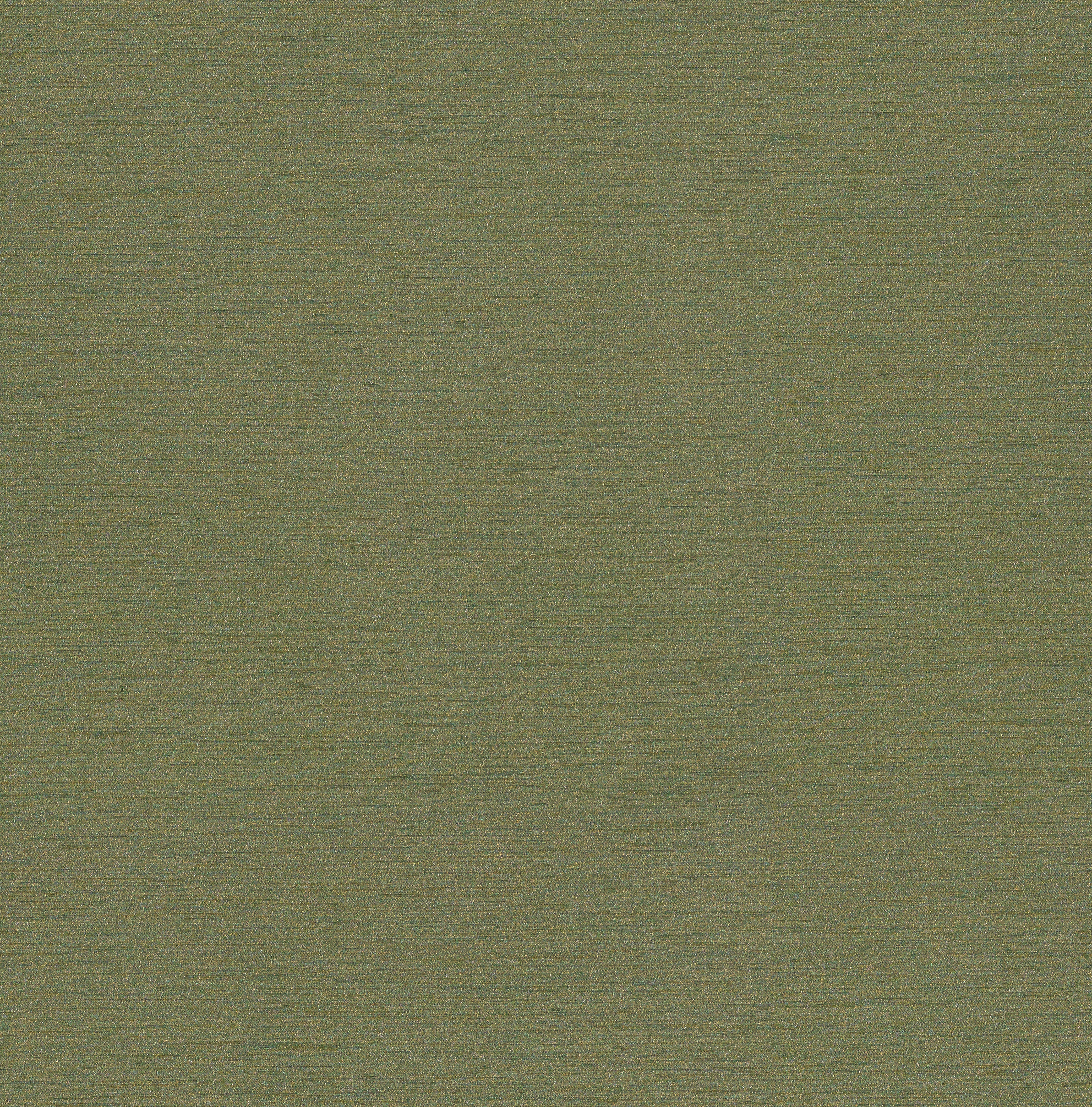 Nishiki 2 0 NIH292 Fennel