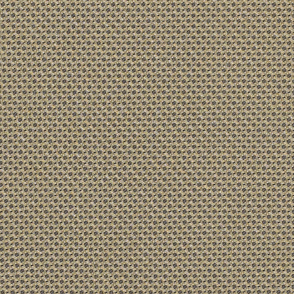 Odyssey C Zero Oliver