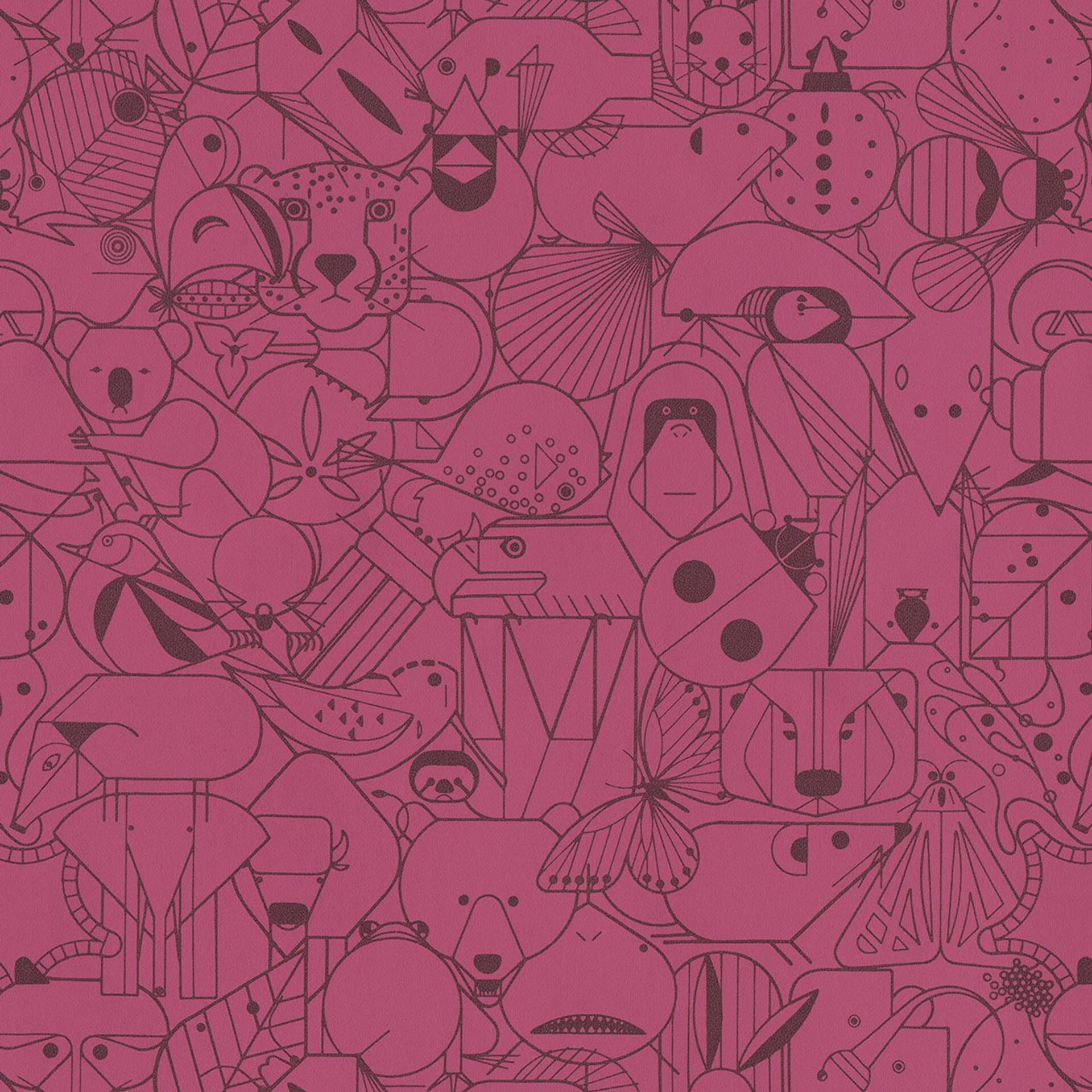 Orchid Mantis 3043304 58474