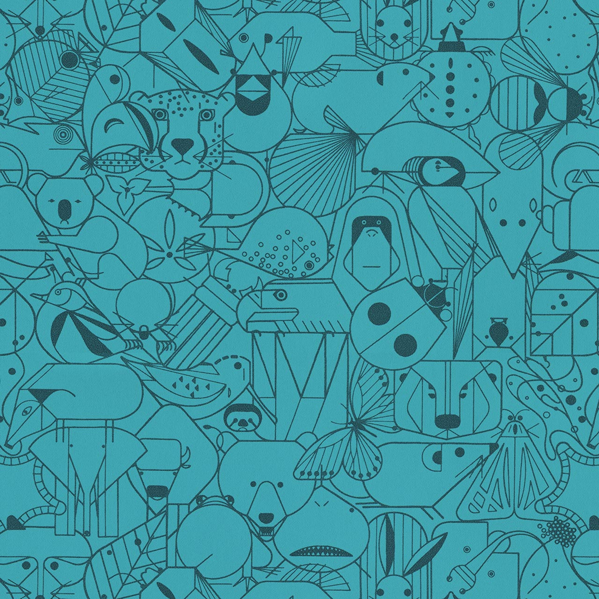 Parakeet 3043405 51636