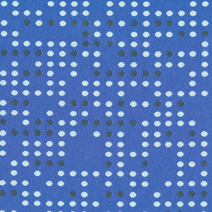 Punch Card Blue Jay