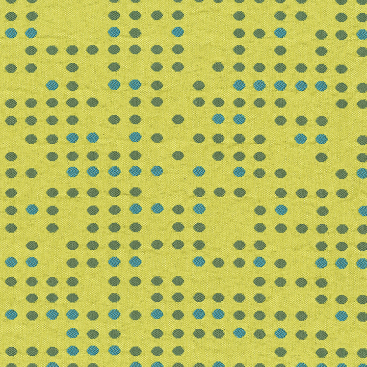 Punch Card Citronelle