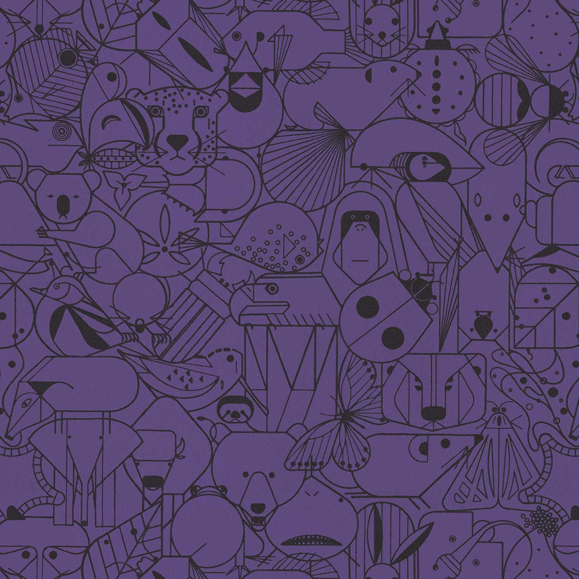 Purple Starling 3043602 18584