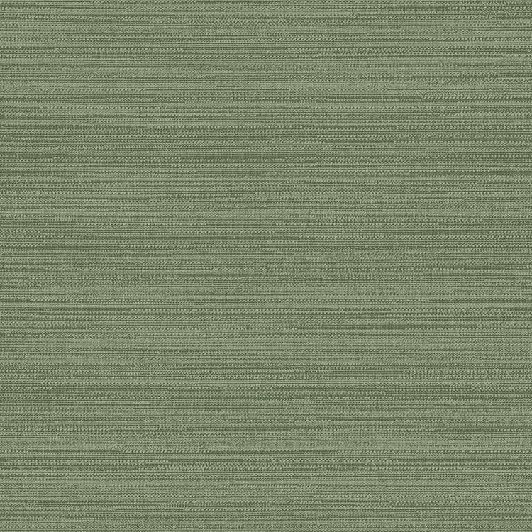 Sanya CV Fern