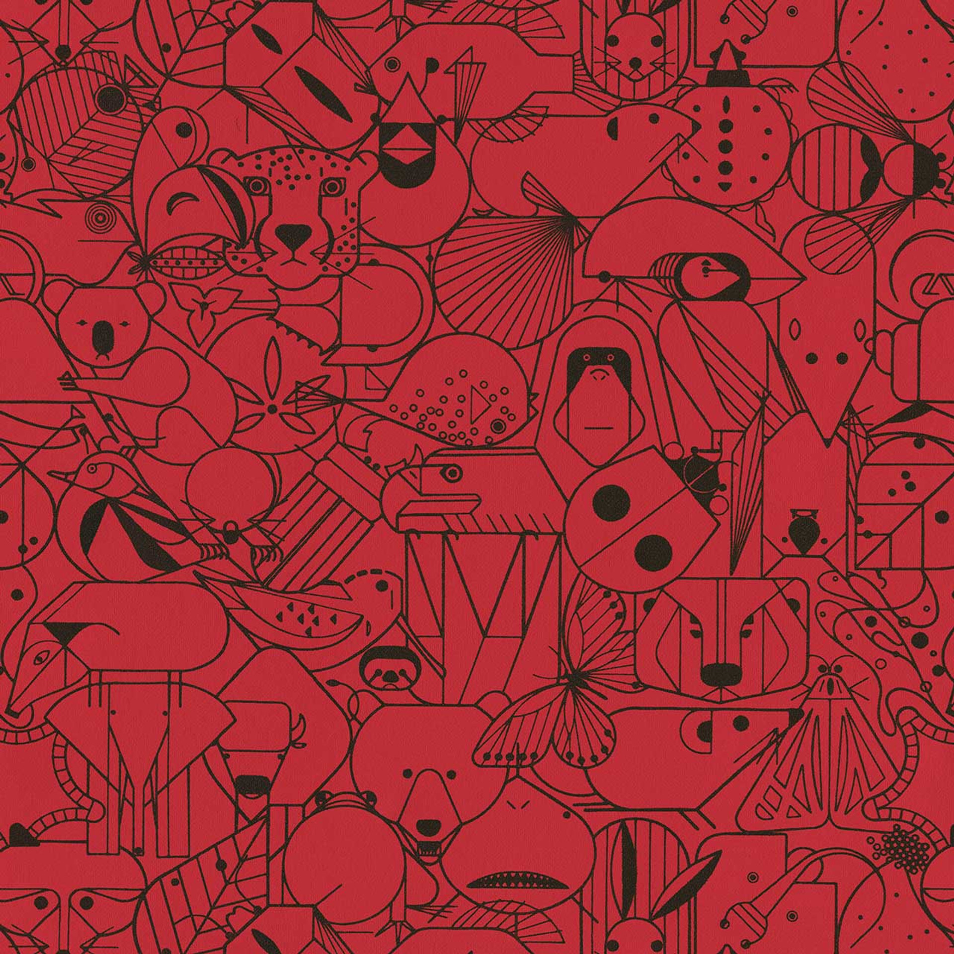 Scarlet Ibis 3043303 93235