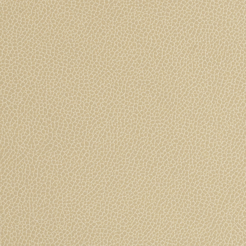 Silica Leather Barley