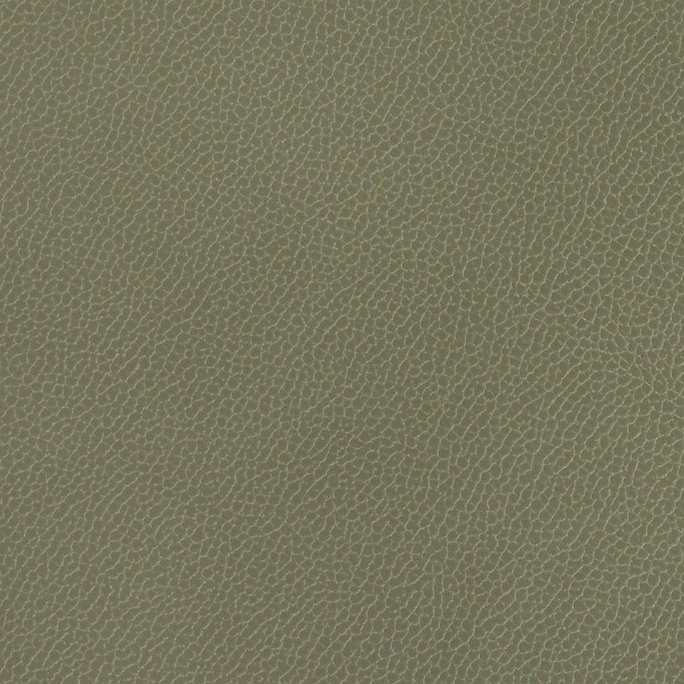 Silica Leather Eucalyptus