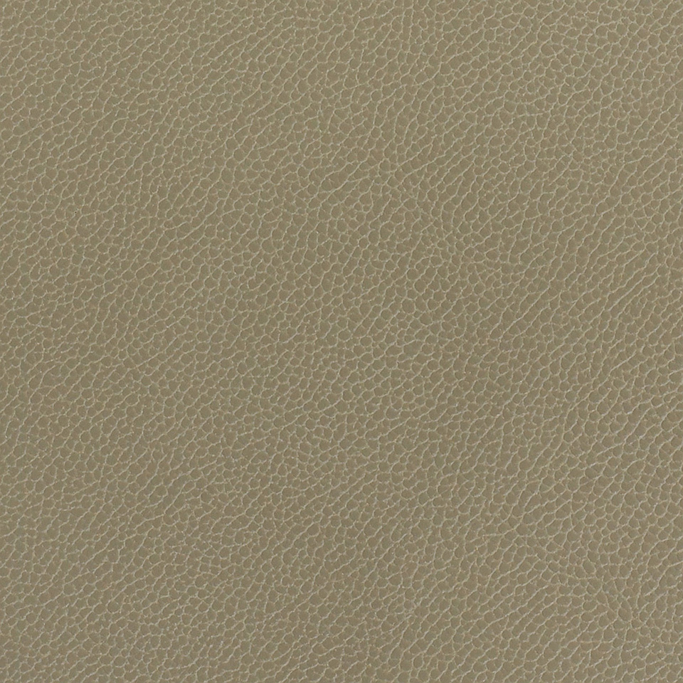 Silica Leather Lichen