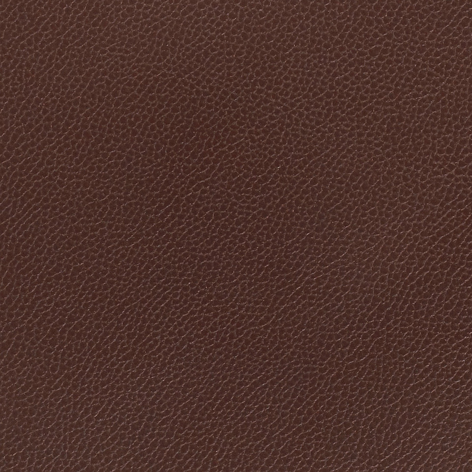 Silica Leather Raisin