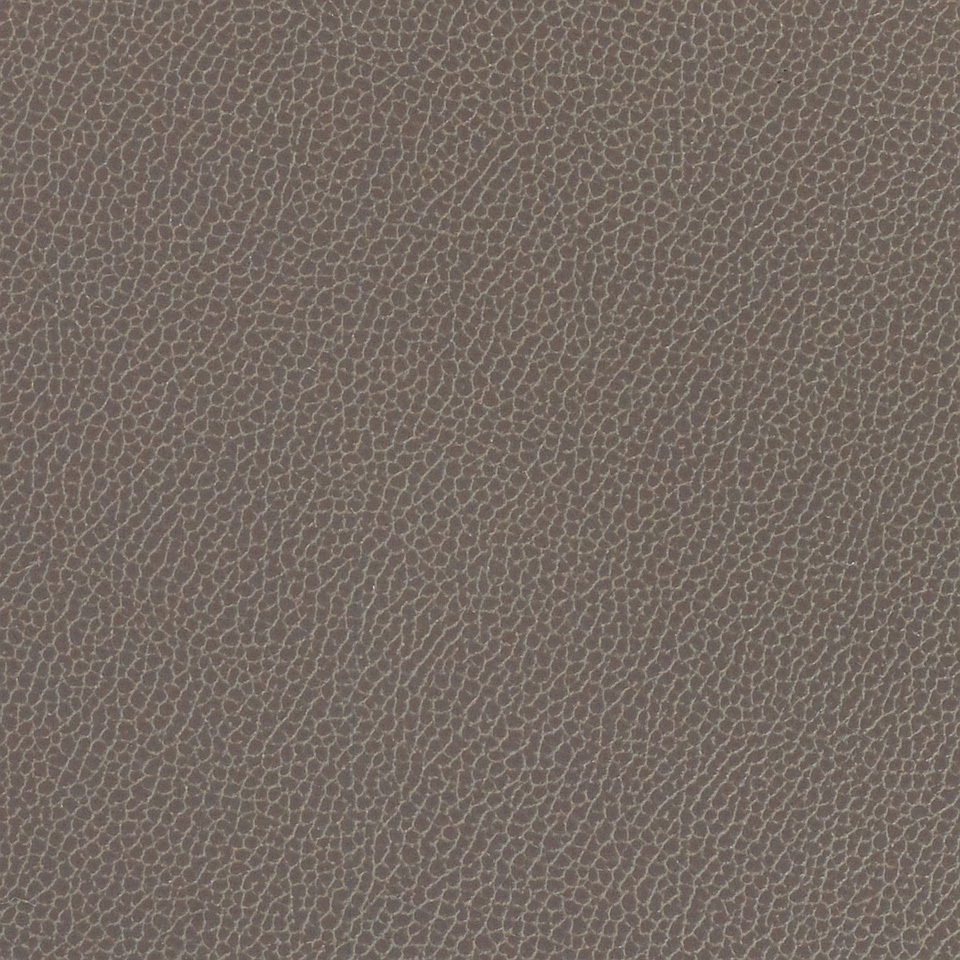 Silica Leather Shadow