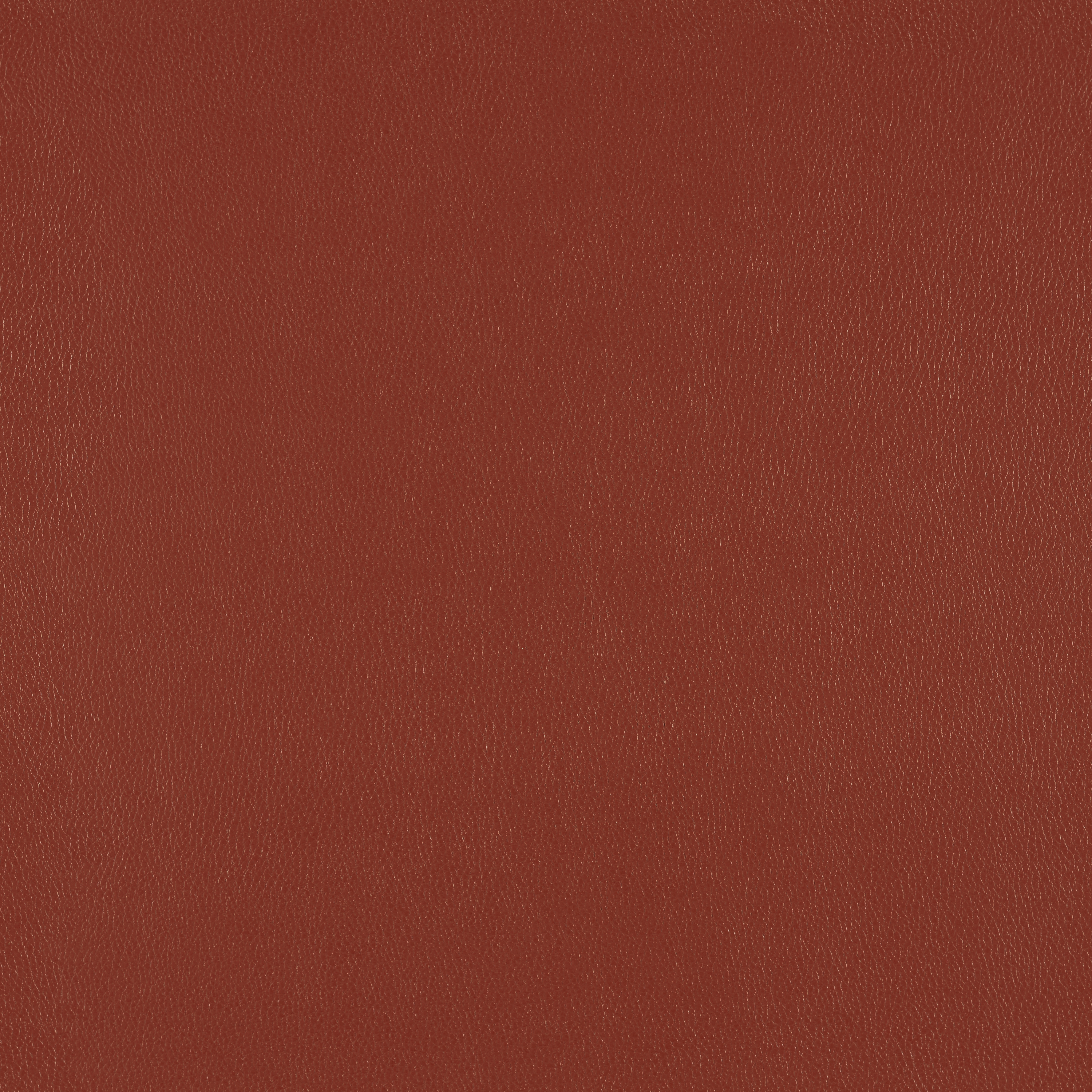 Silicone Element Brownstone 3919305 T