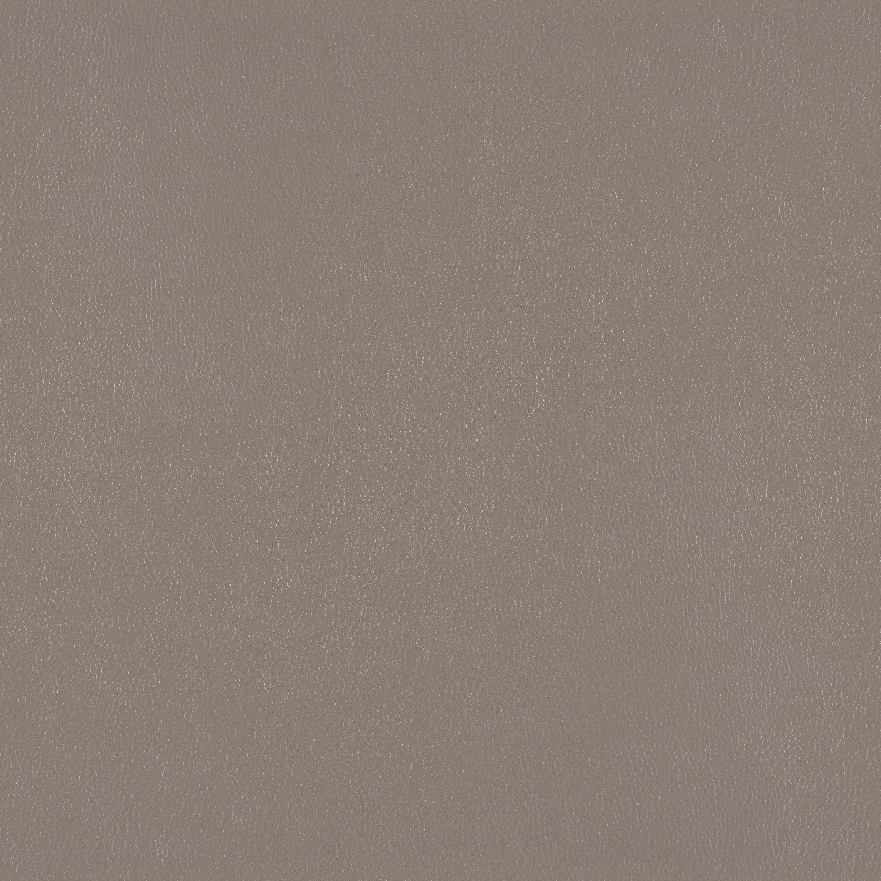 Silicone Element Alloy 3919108 T