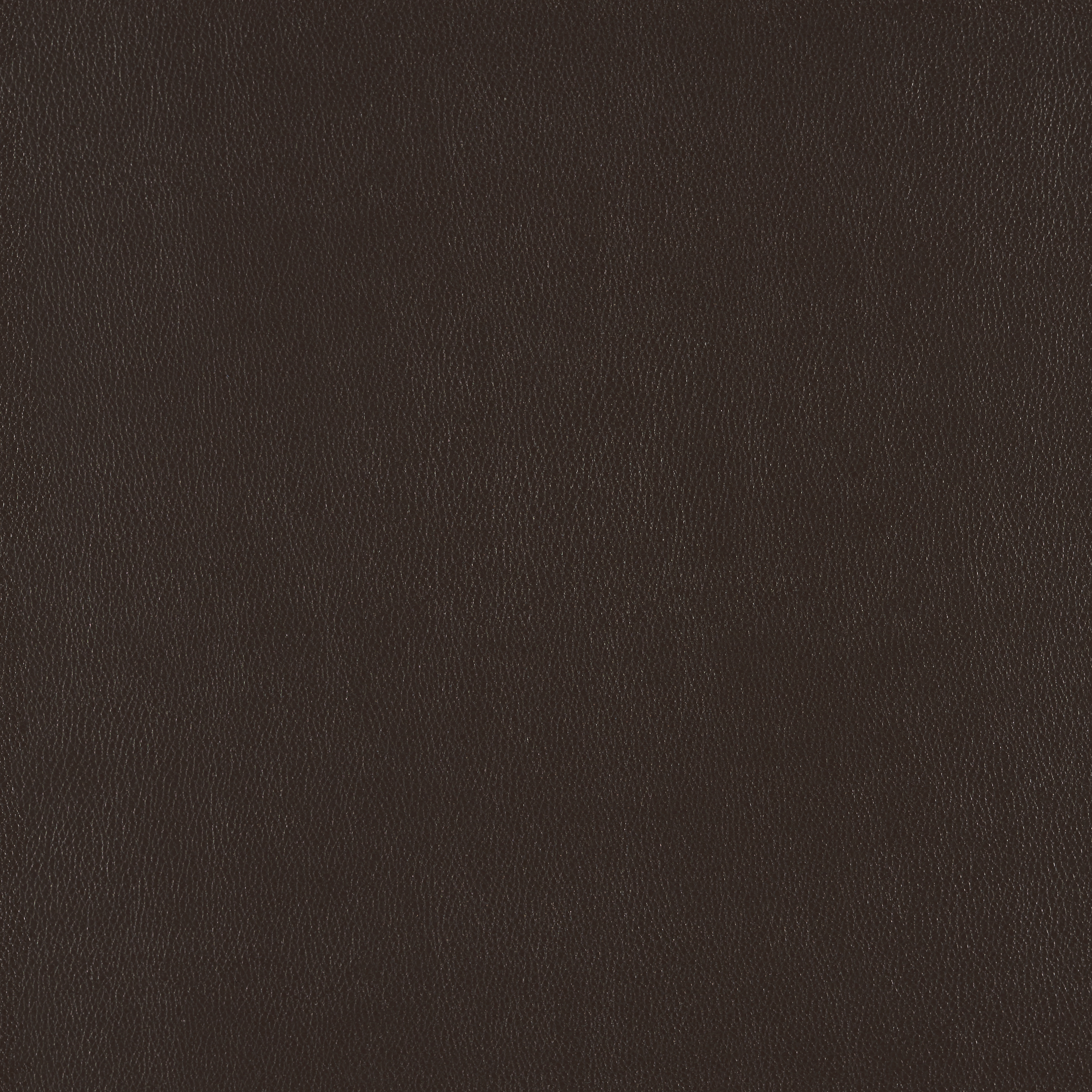 Silicone Element Anise 3919114 T