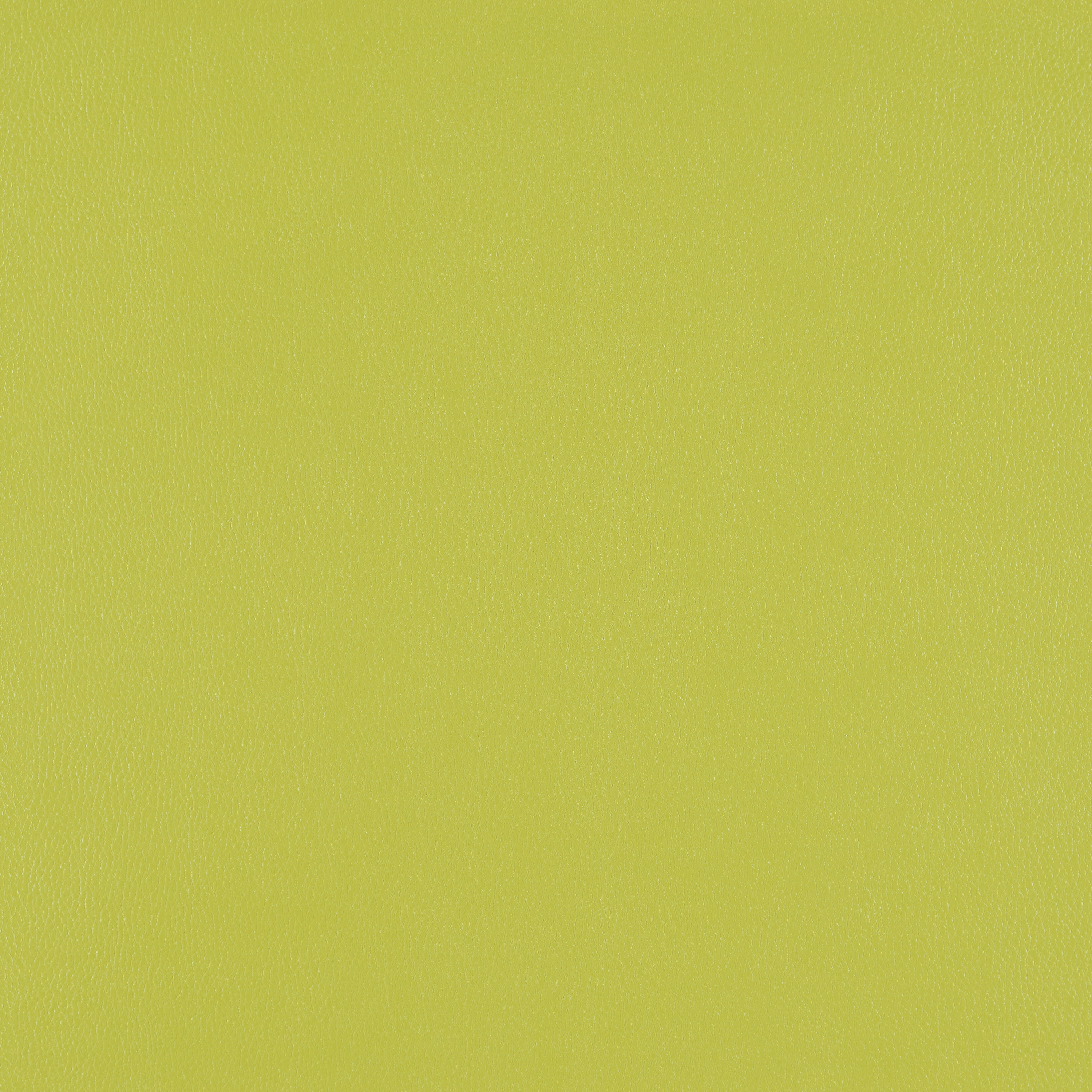 Silicone Element Apple 3919502 T