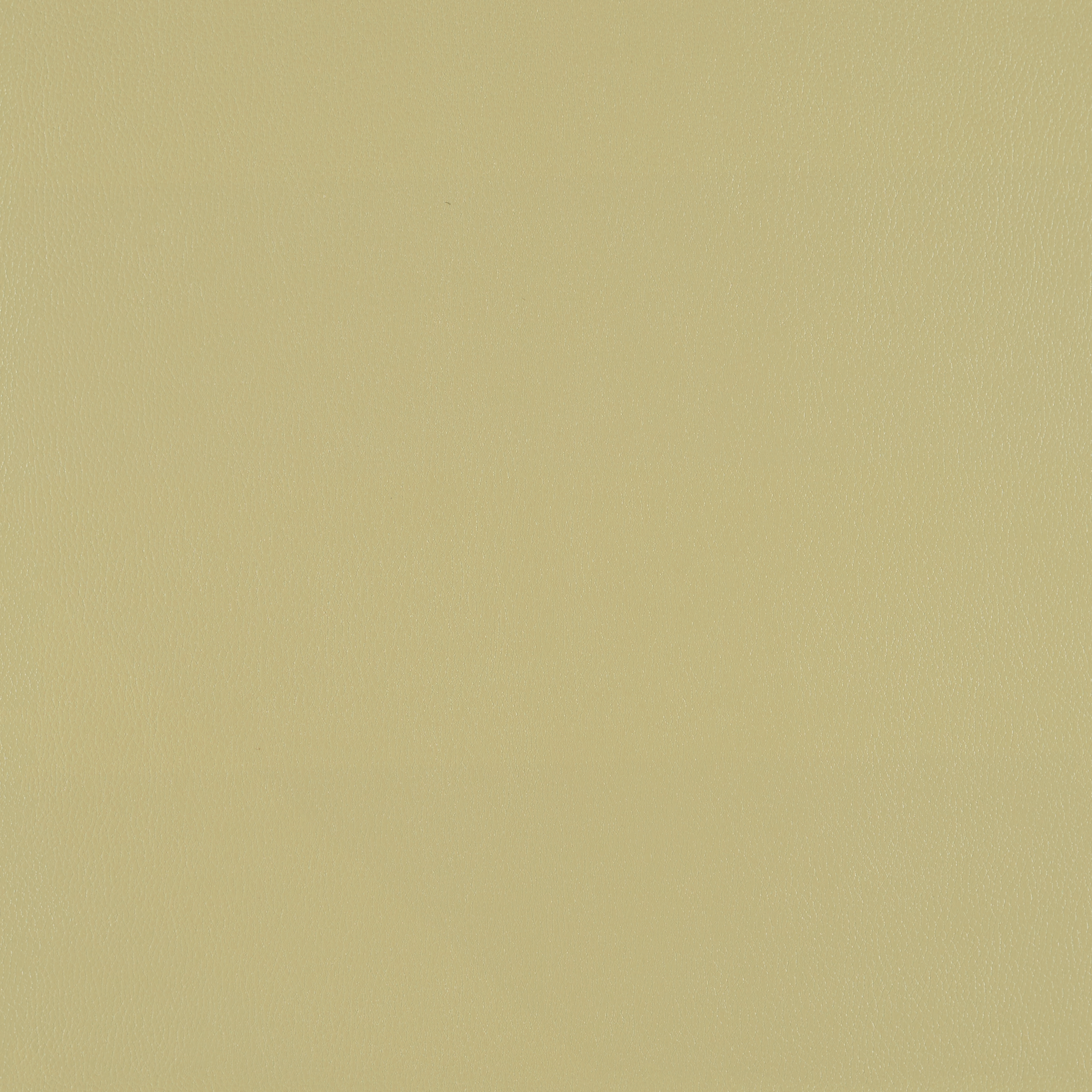 Silicone Element Blasam 3919501 T