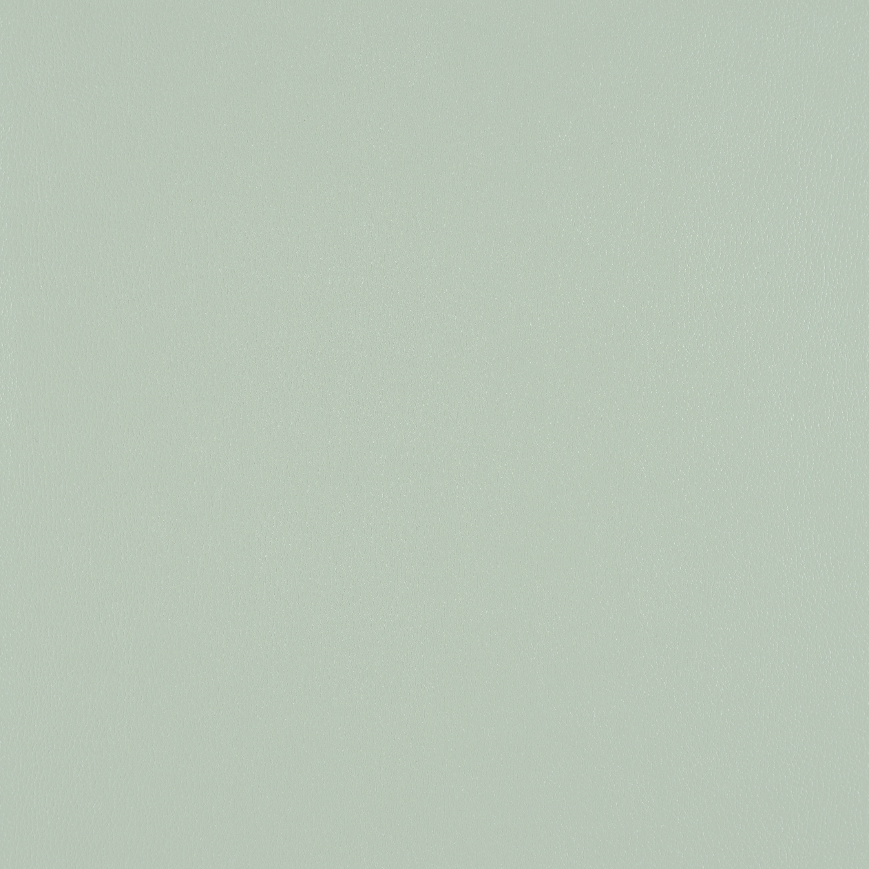 Silicone Element Celestial 3919402 T