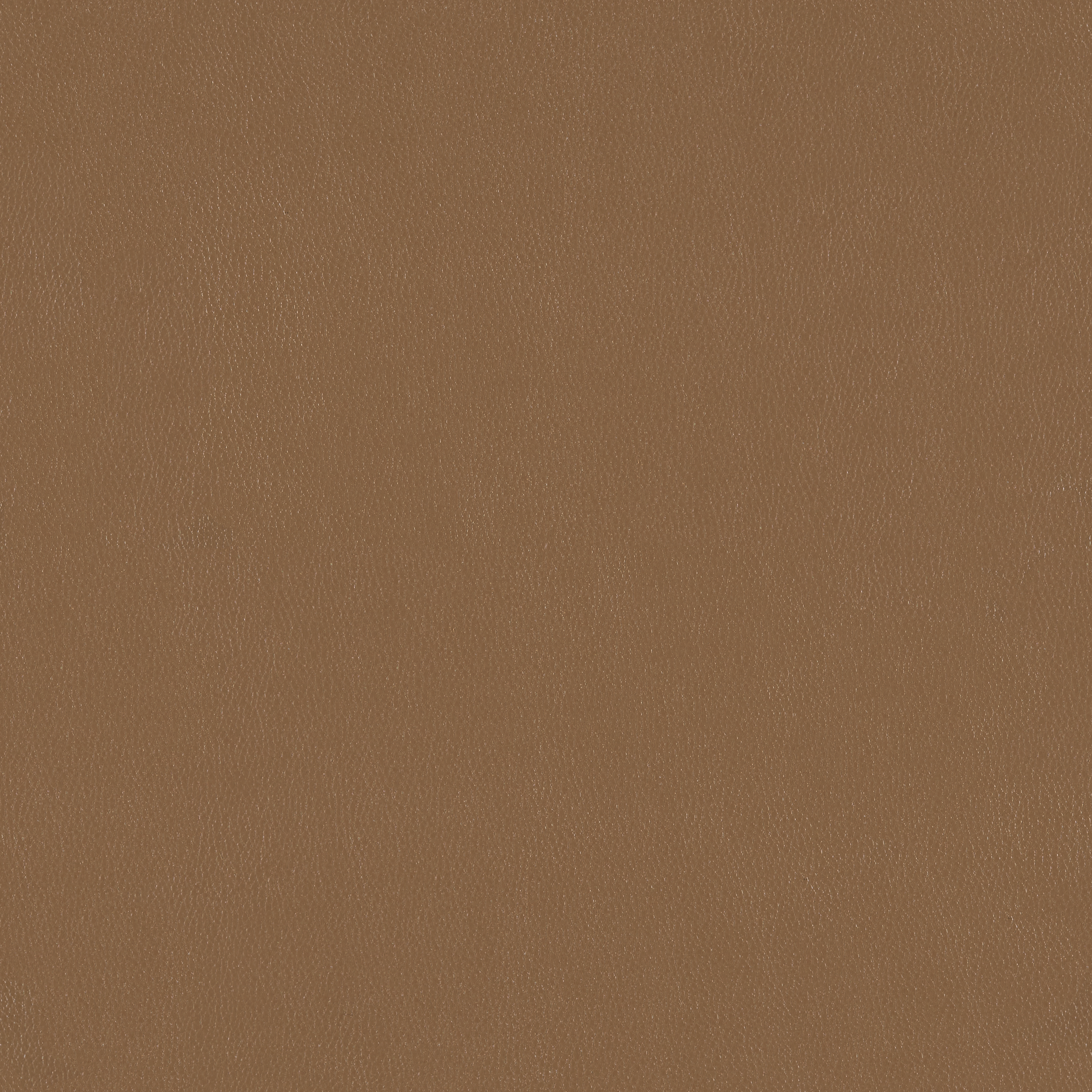 Silicone Element Chestnut 3919109 T