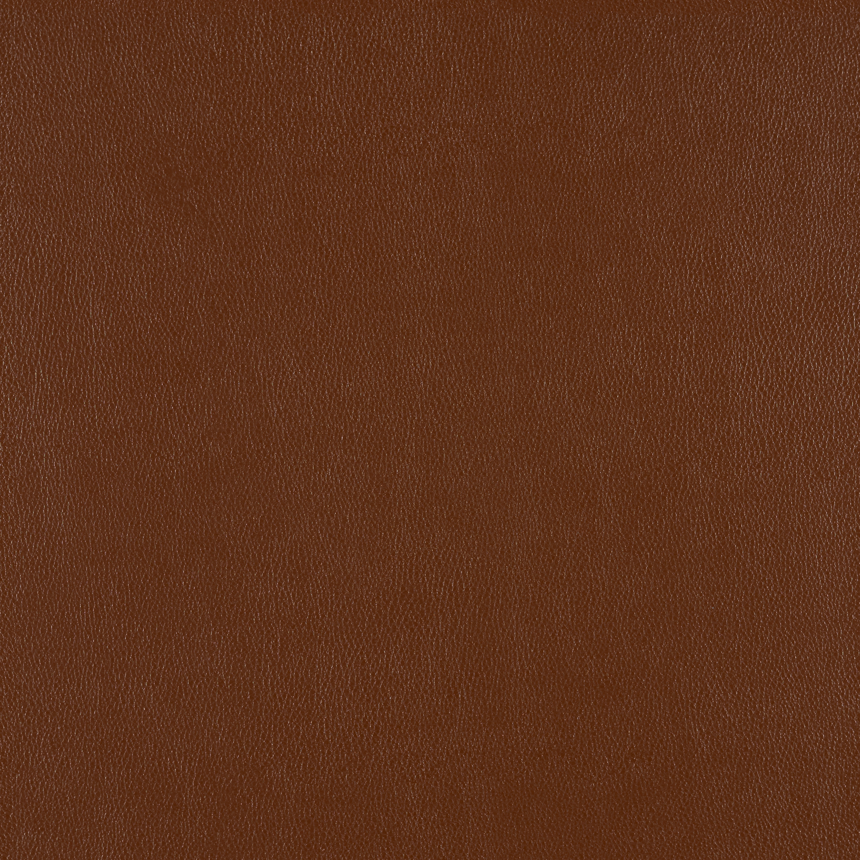 Silicone Element Chicory 3919112 T