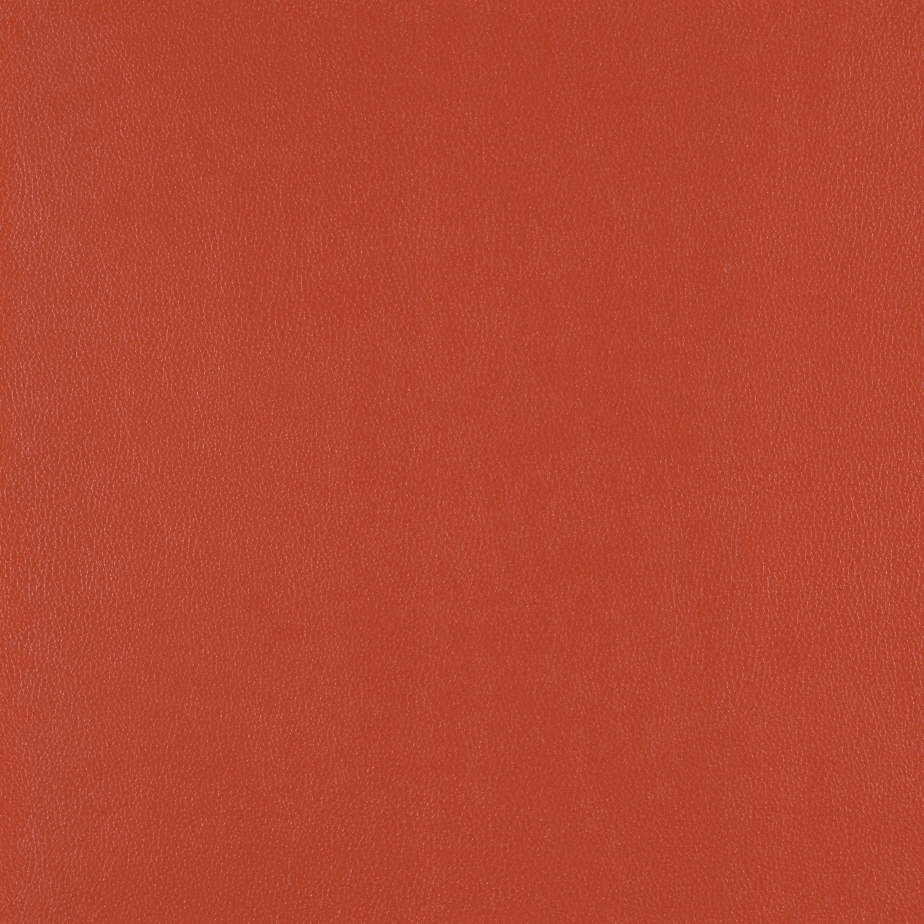 Silicone Element Clay 3919703 T