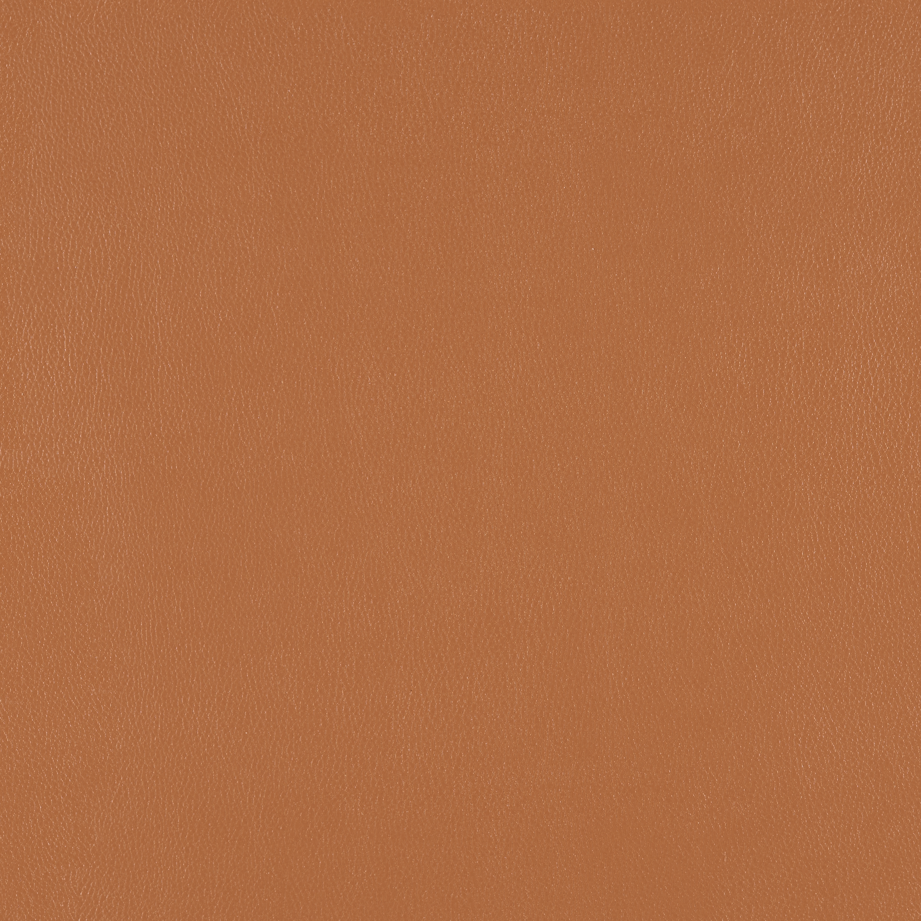 Silicone Element Cumin 3919705 T