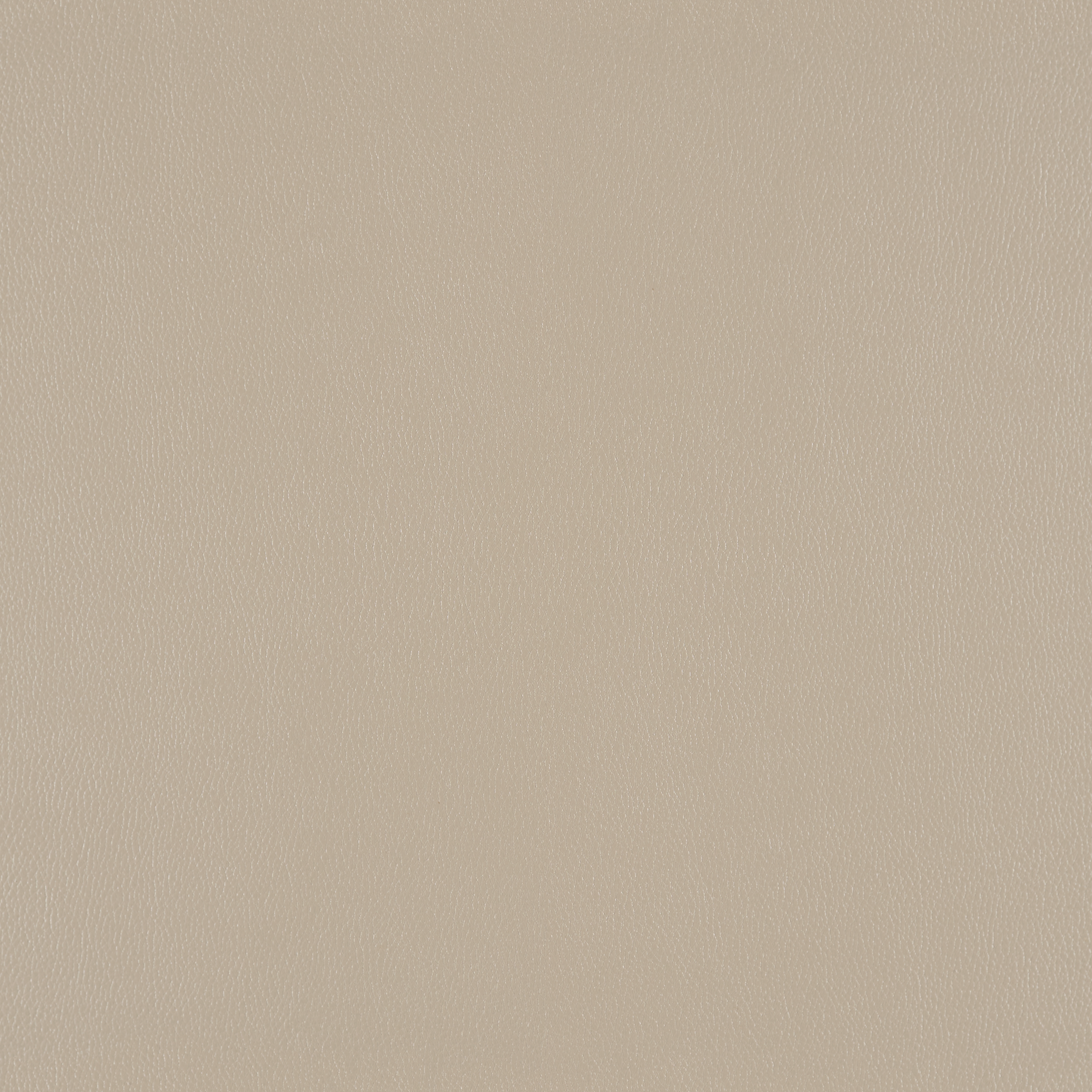 Silicone Element Fossil 3919103 T