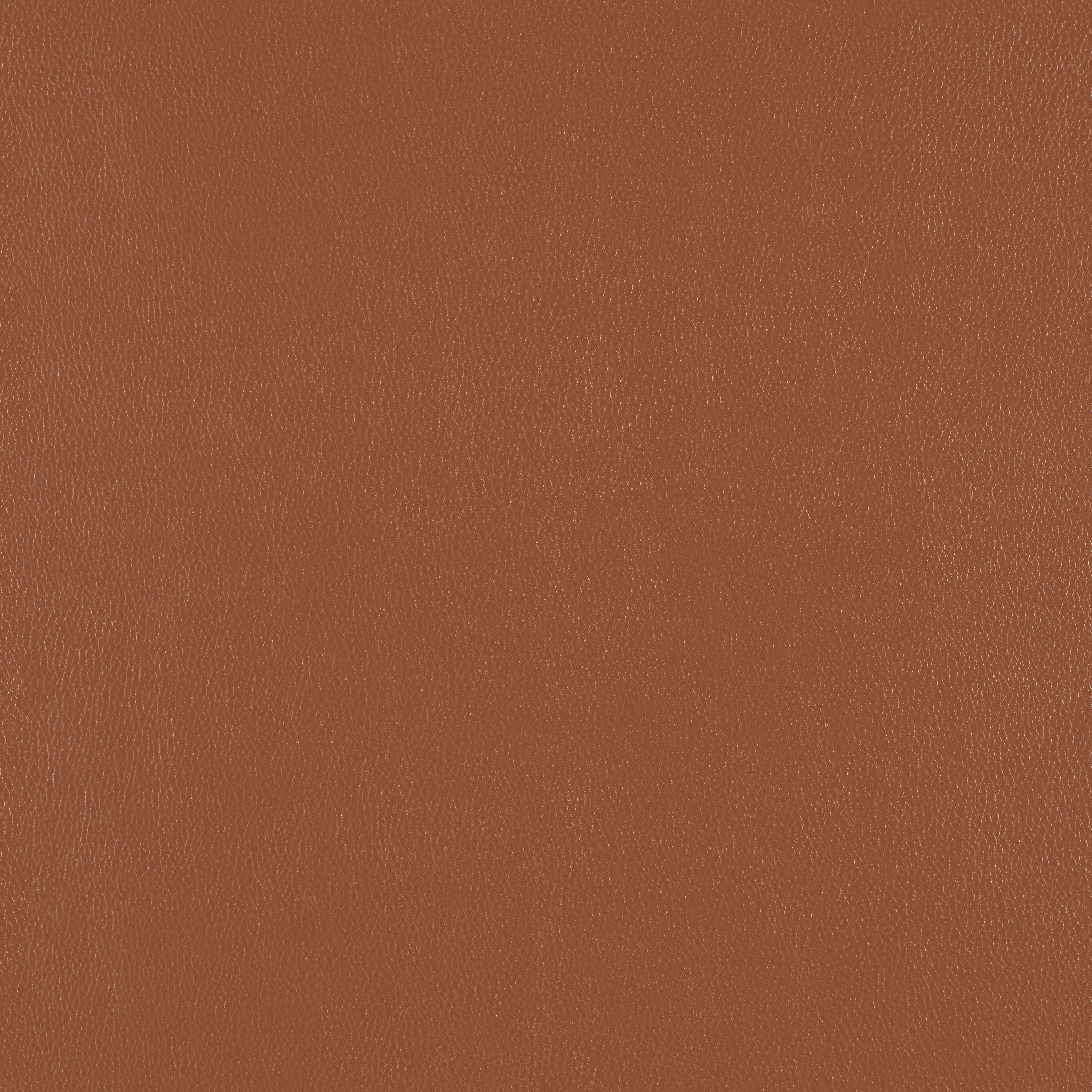 Silicone Element Gingersnap 3919111 T