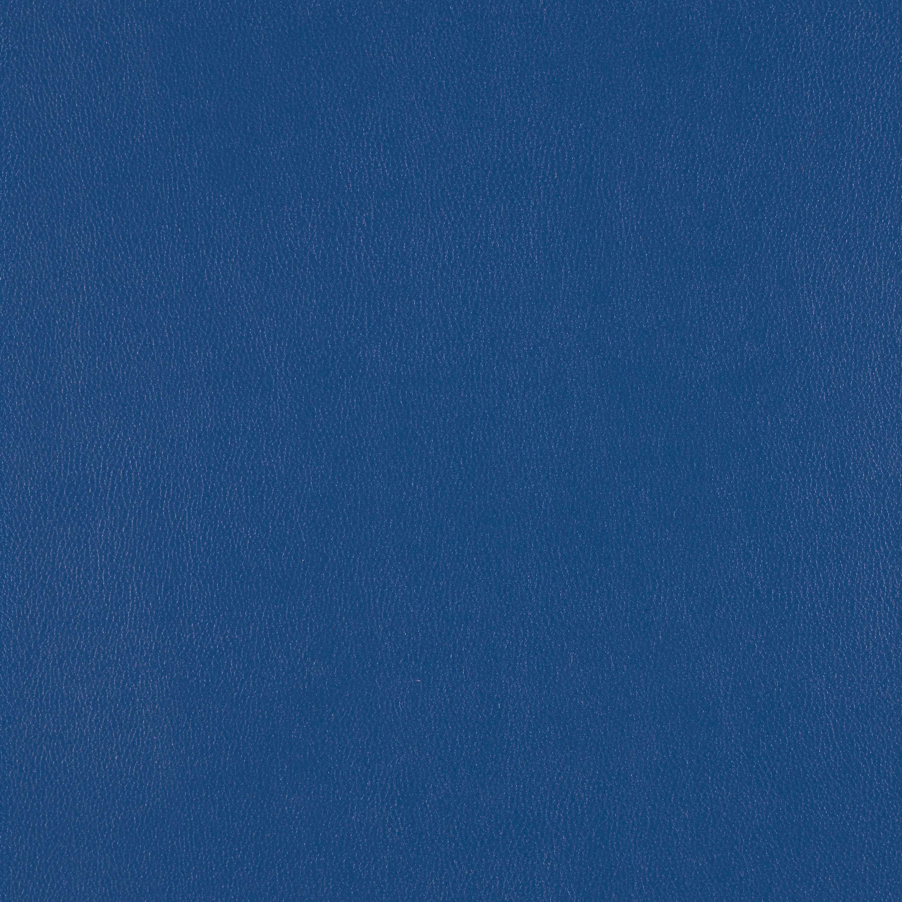 Silicone Element Lapis 3919410 T