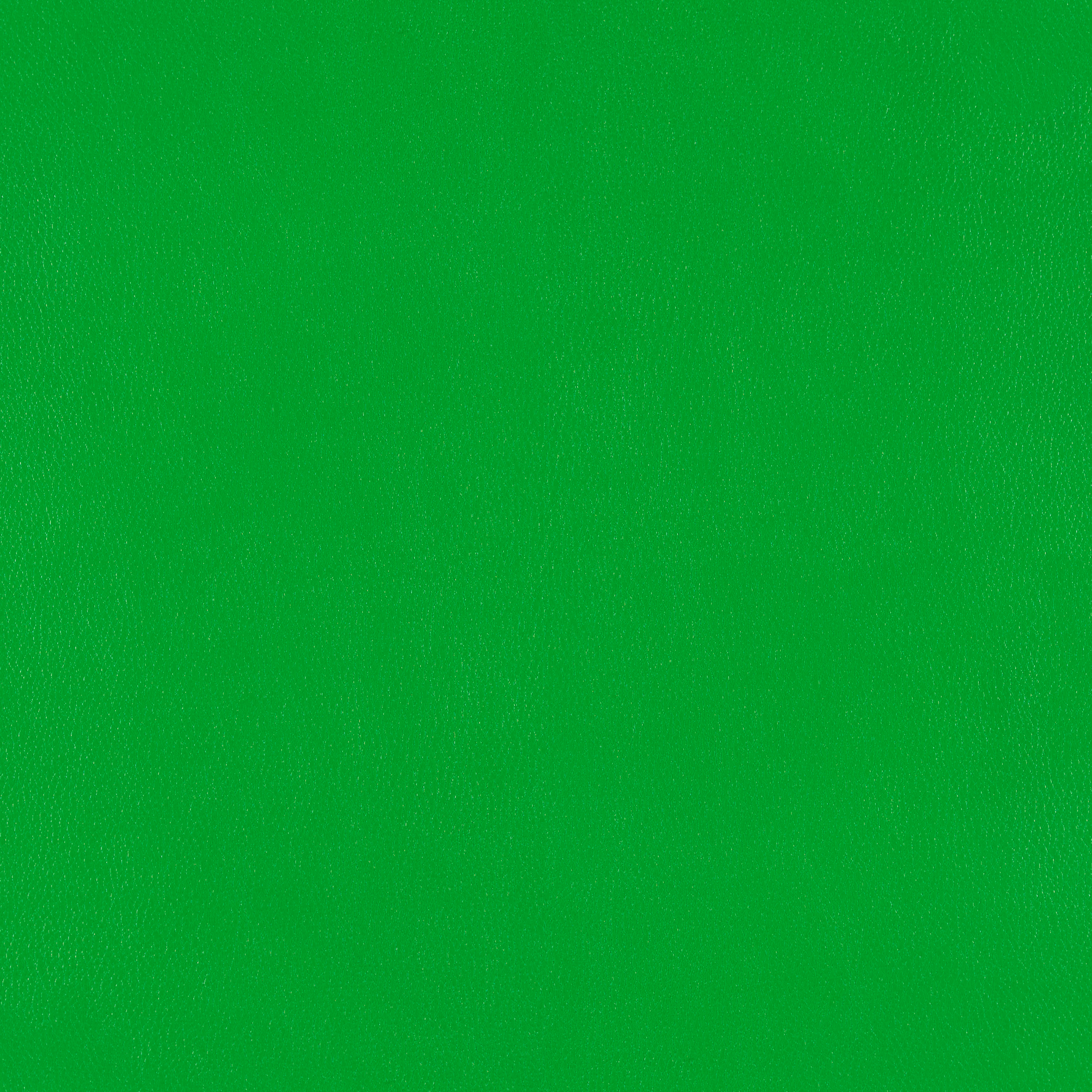 Silicone Element Leapfrog 3919504 T