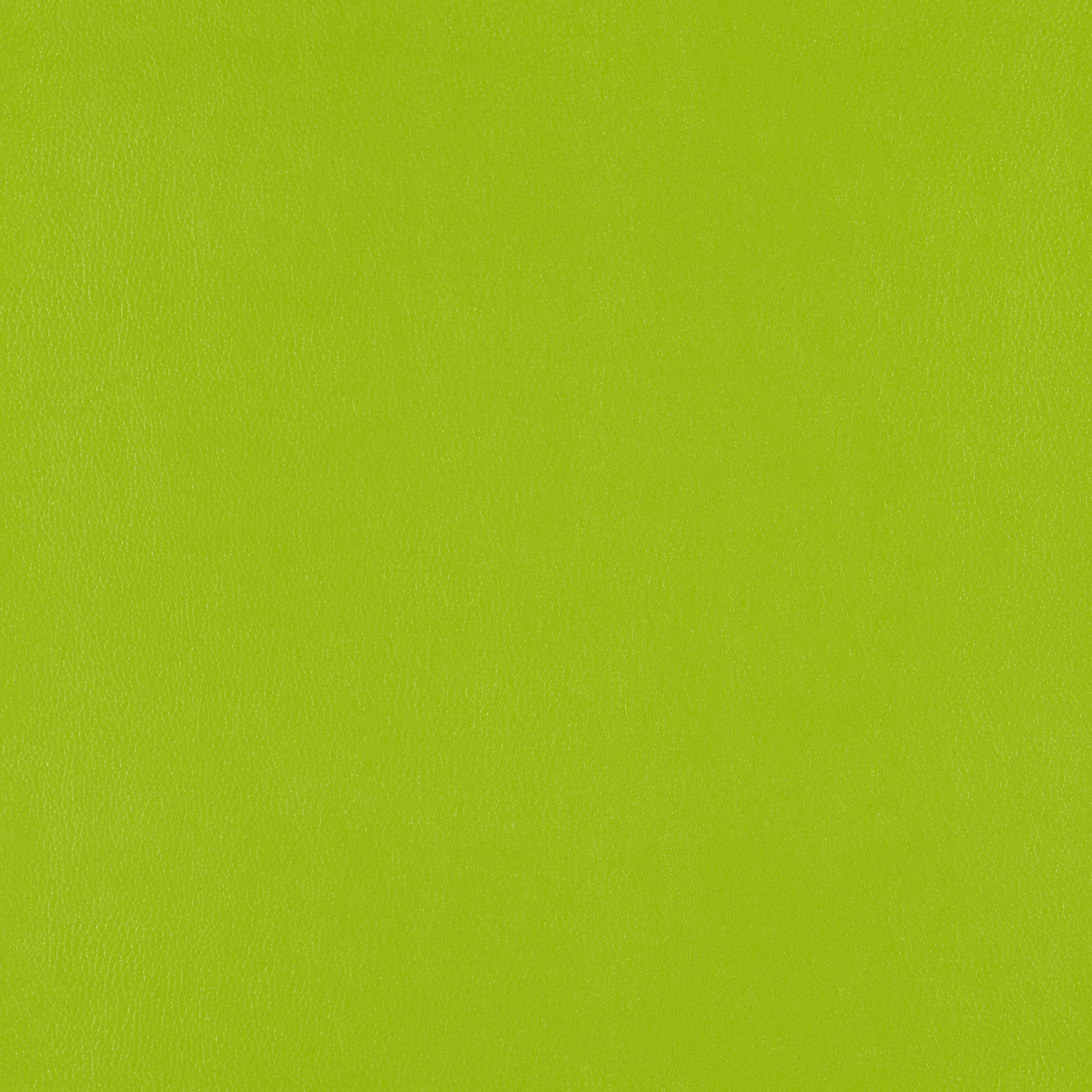 Silicone Element Lime 3919503 T