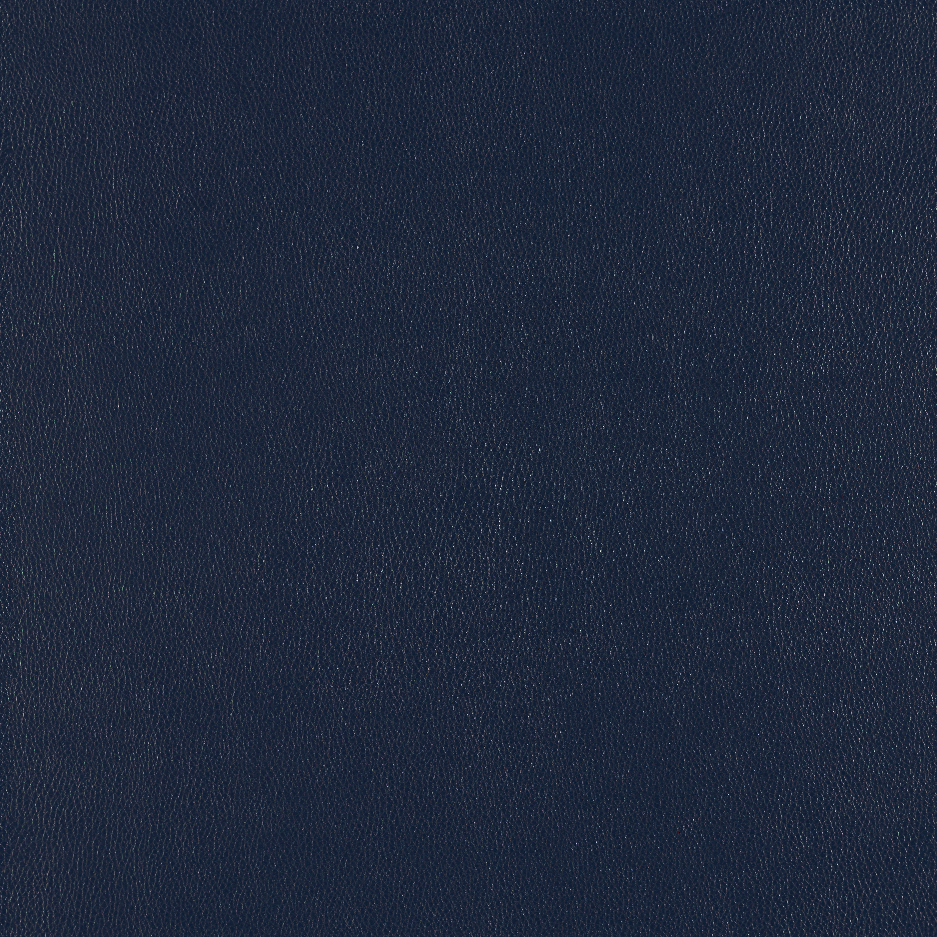 Silicone Element Midnight 3919412 T