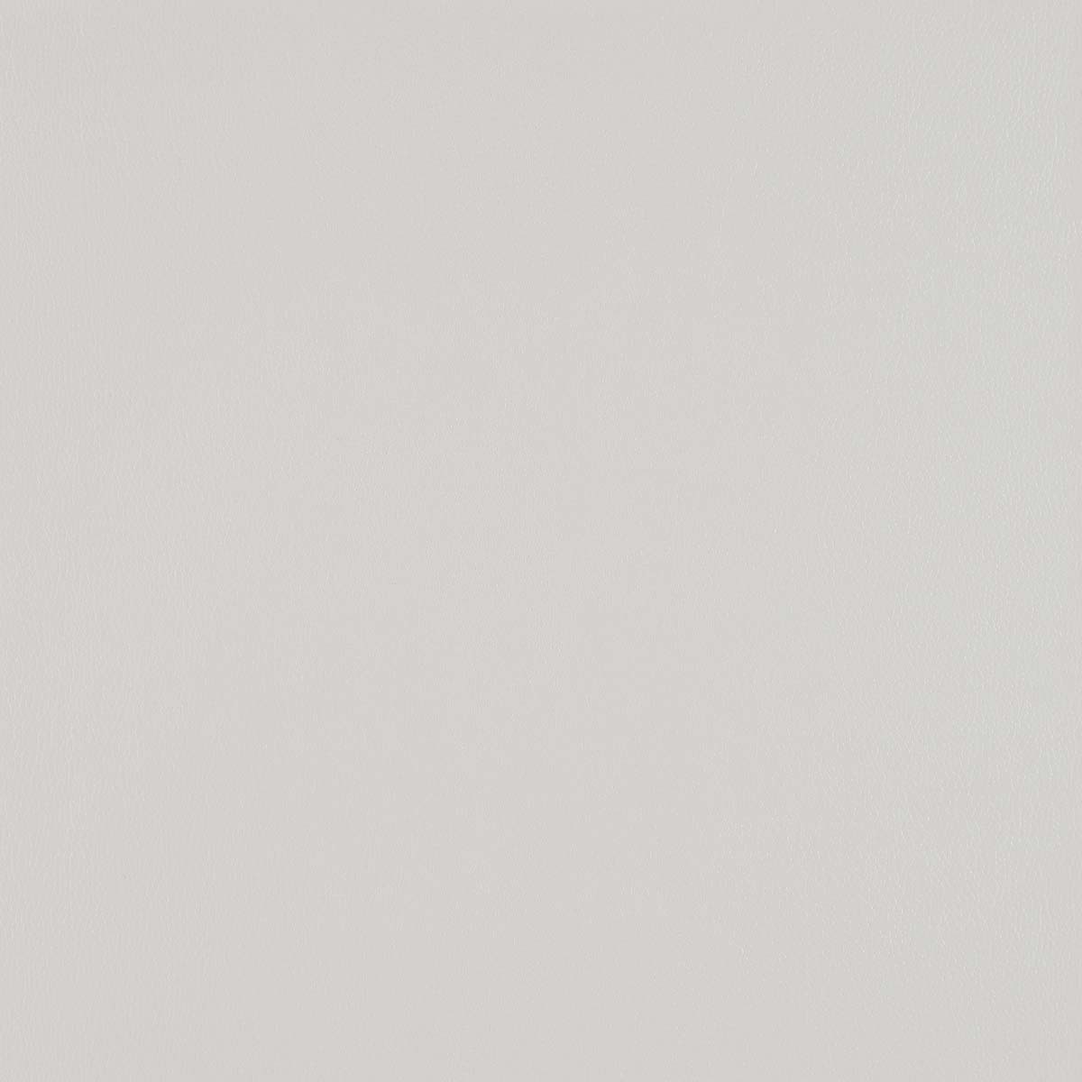 Silicone Element Pavement 3919802 T