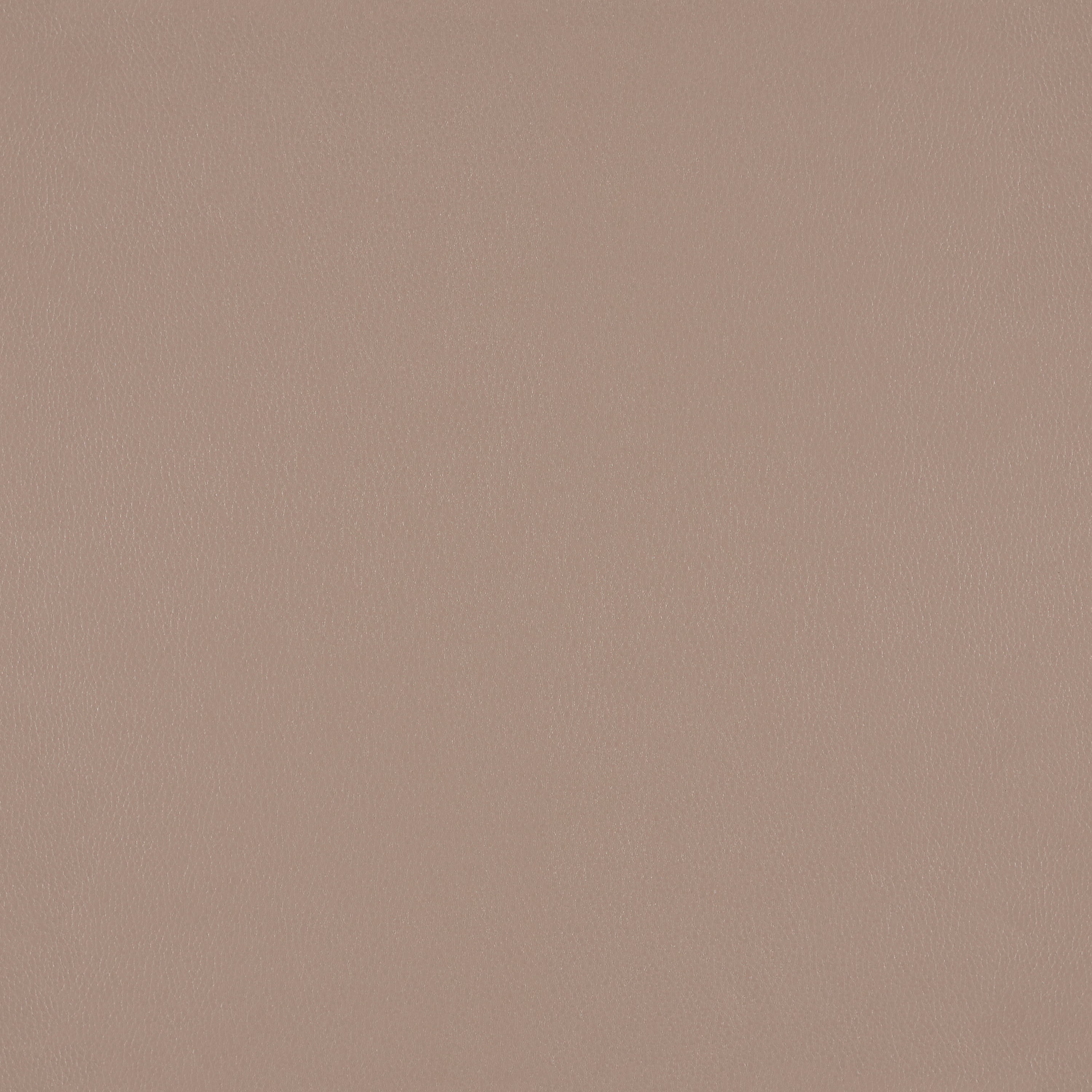 Silicone Element Portabello 3919107 T