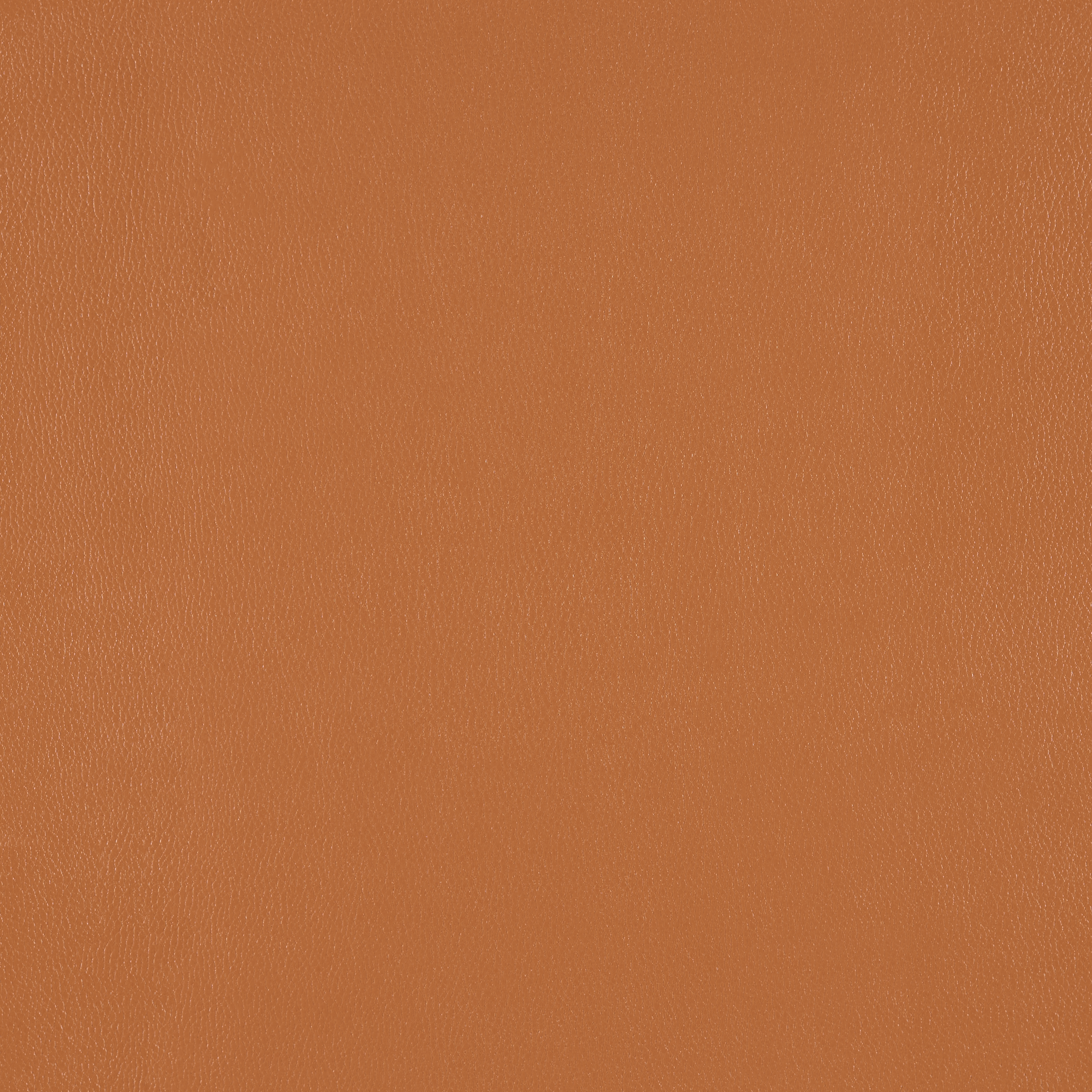 Silicone Element Praline 3919704 T