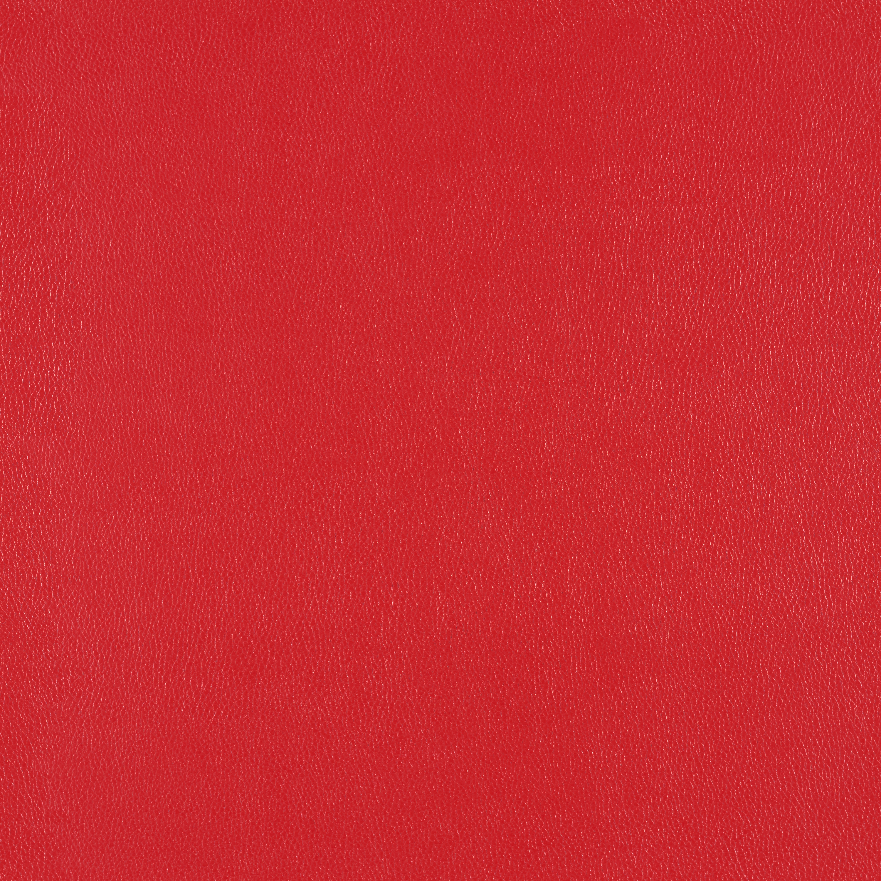 Silicone Element Red Pepper 3919301 T