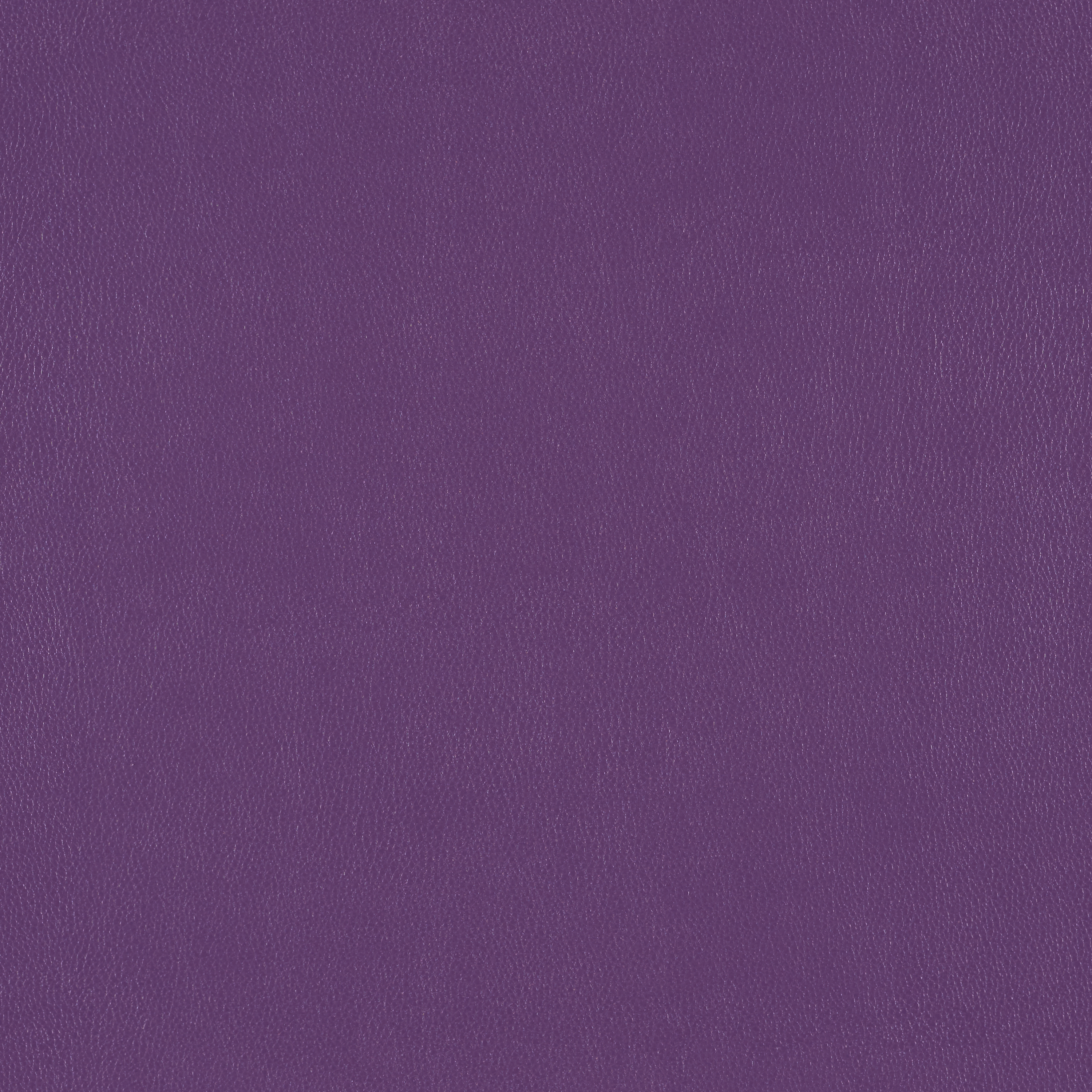 Silicone Element Reign 3919603 T