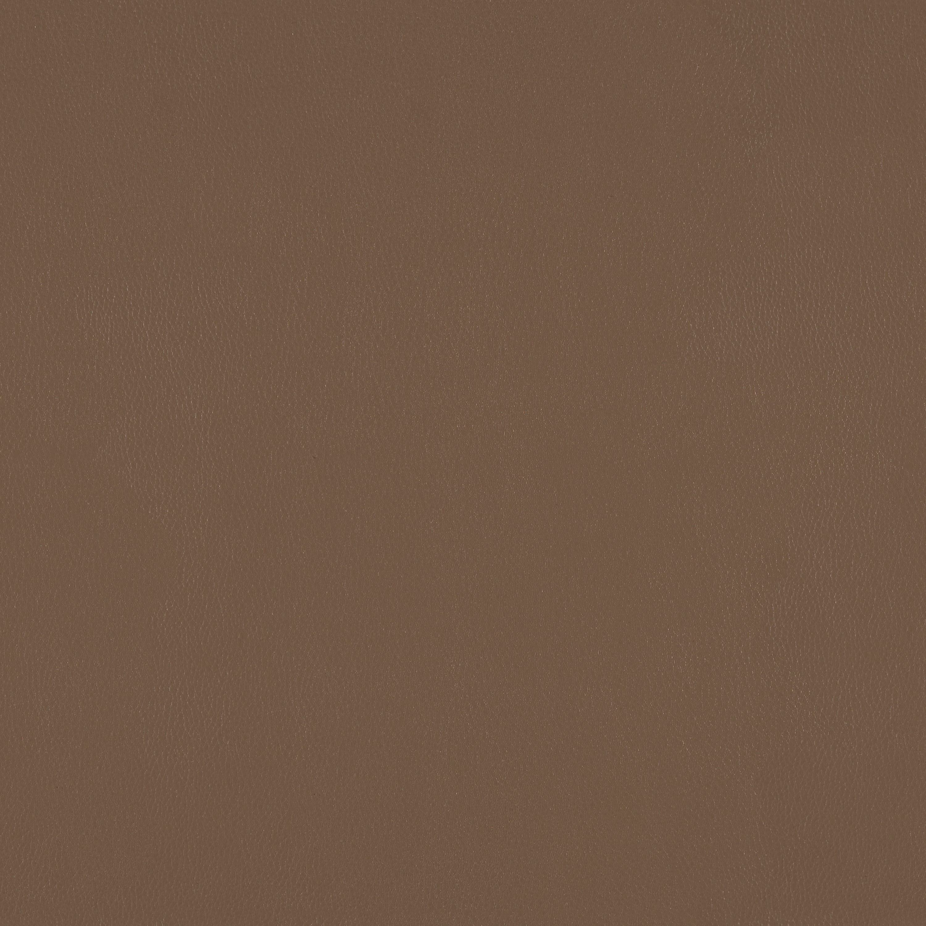 Silicone Element Roast 3919110 T