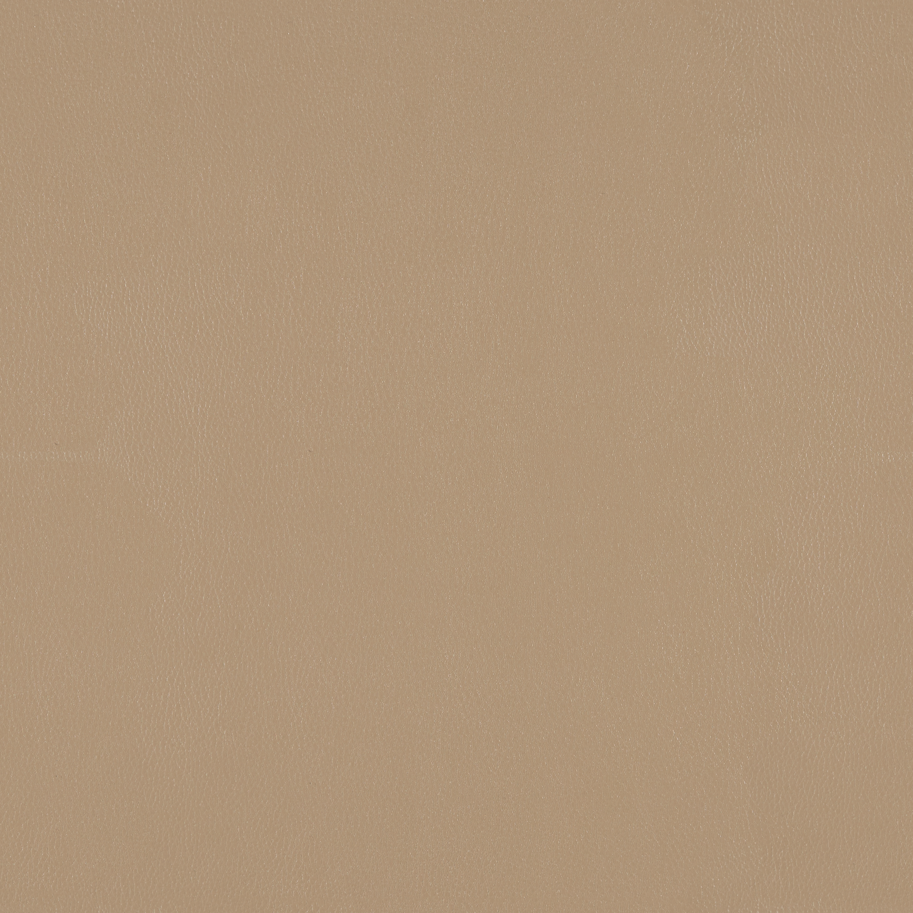 Silicone Element Sandstone 3919106 T